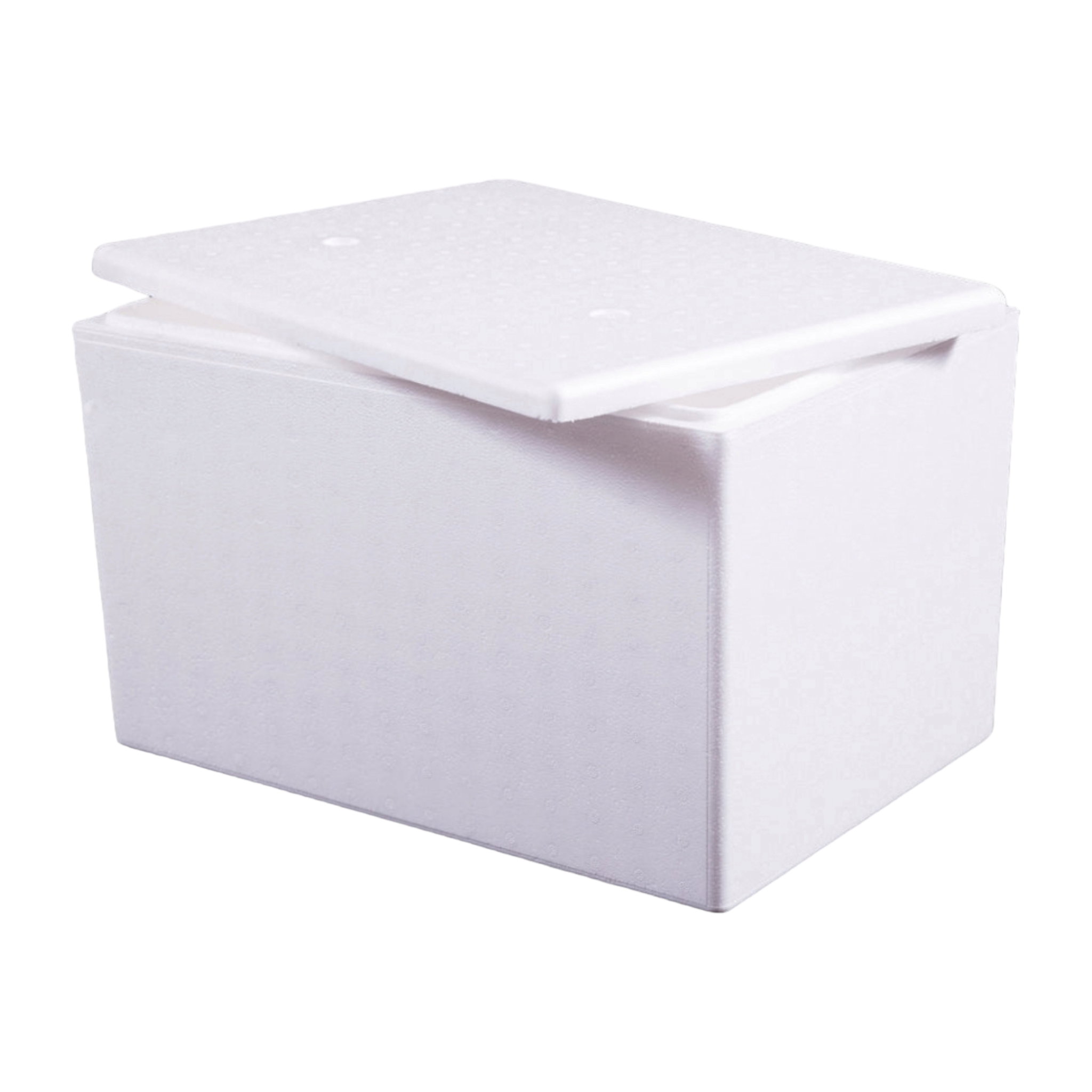 Polystyrene Cooler Box 22L Thermal Storage Box