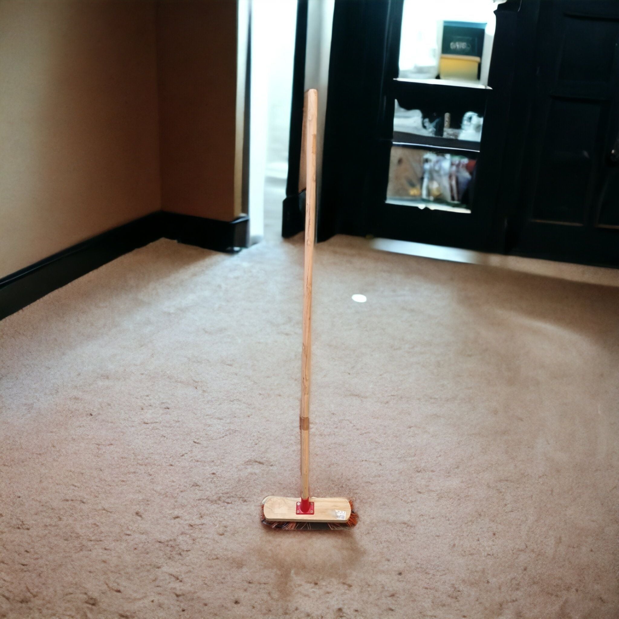 Household Carpet Hard Broom Buzz