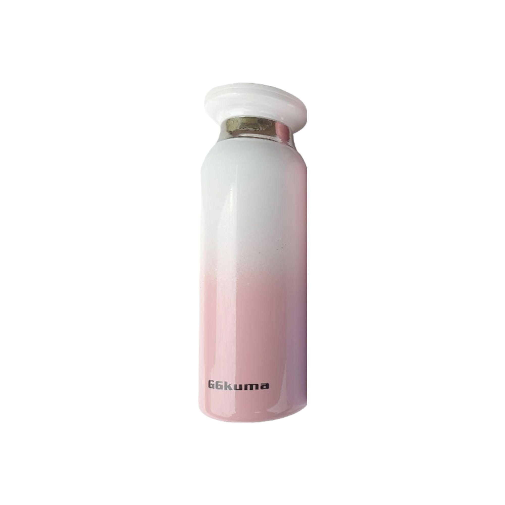 Thermal Vacuum Flask 2 Tone 20x6x3cm Each