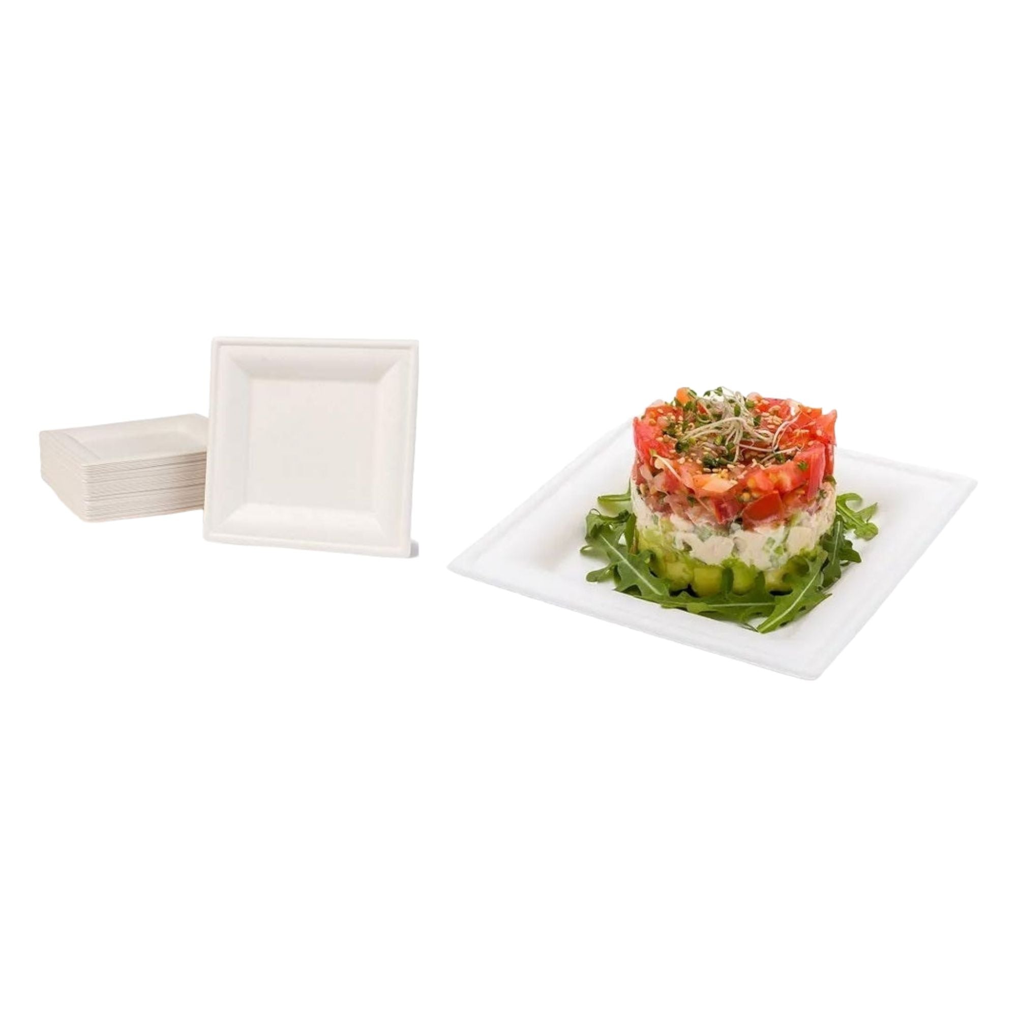 Biodegradable Takeaway Plate 10inch Square White Sugar Cane