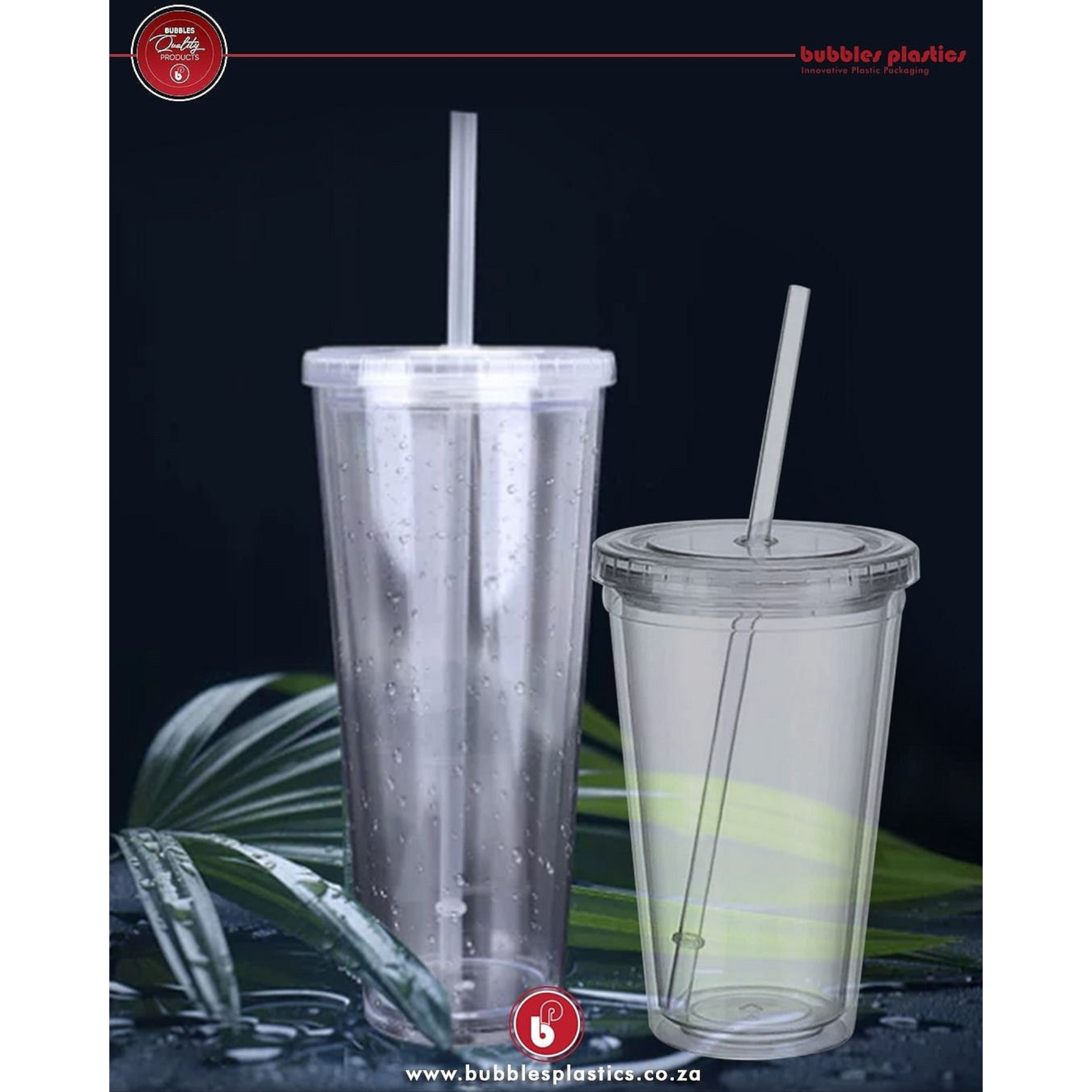 650ml Acrylic Double Wall Insulated Cup with Straw