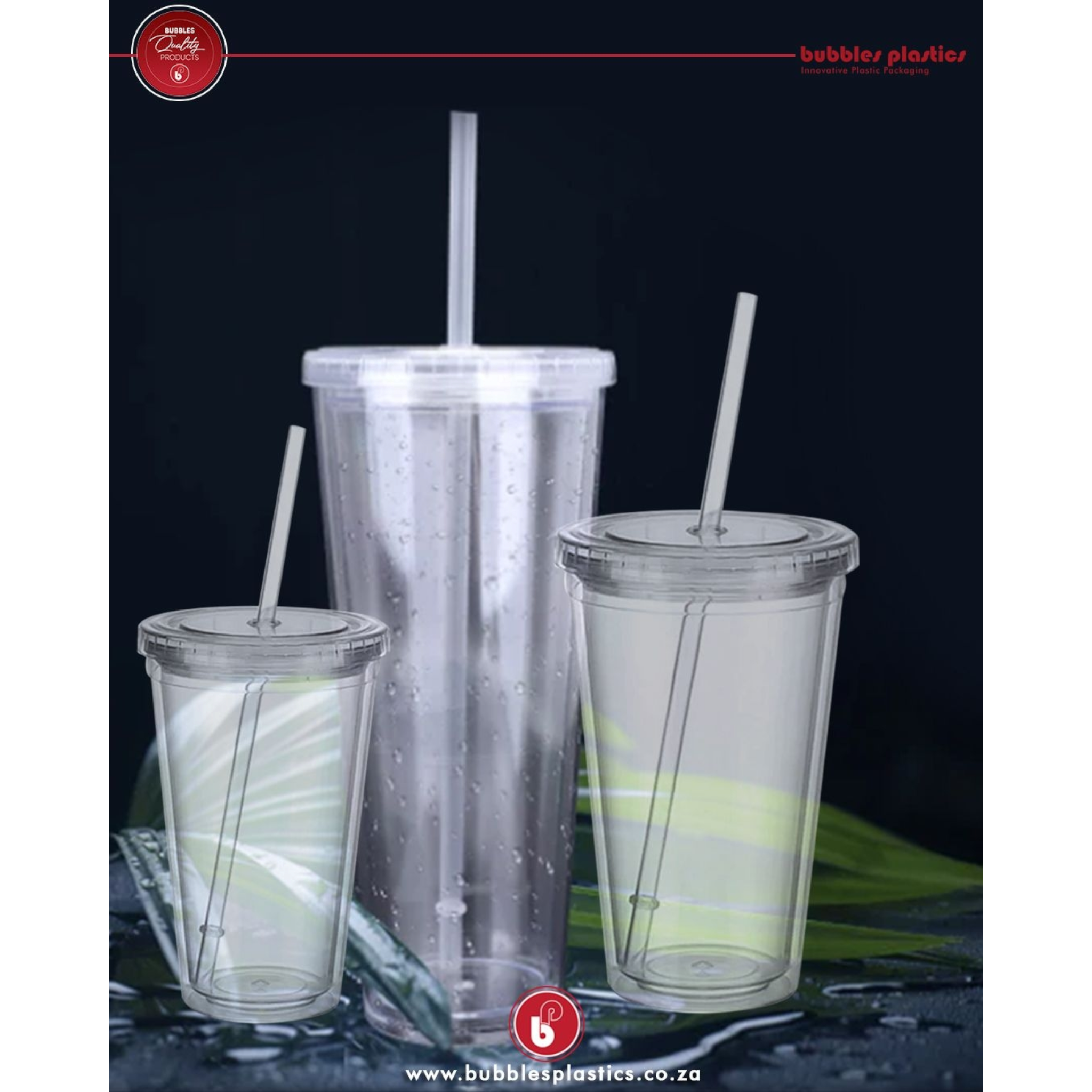 450ml Acrylic Double Wall Insulated Cup with Straw