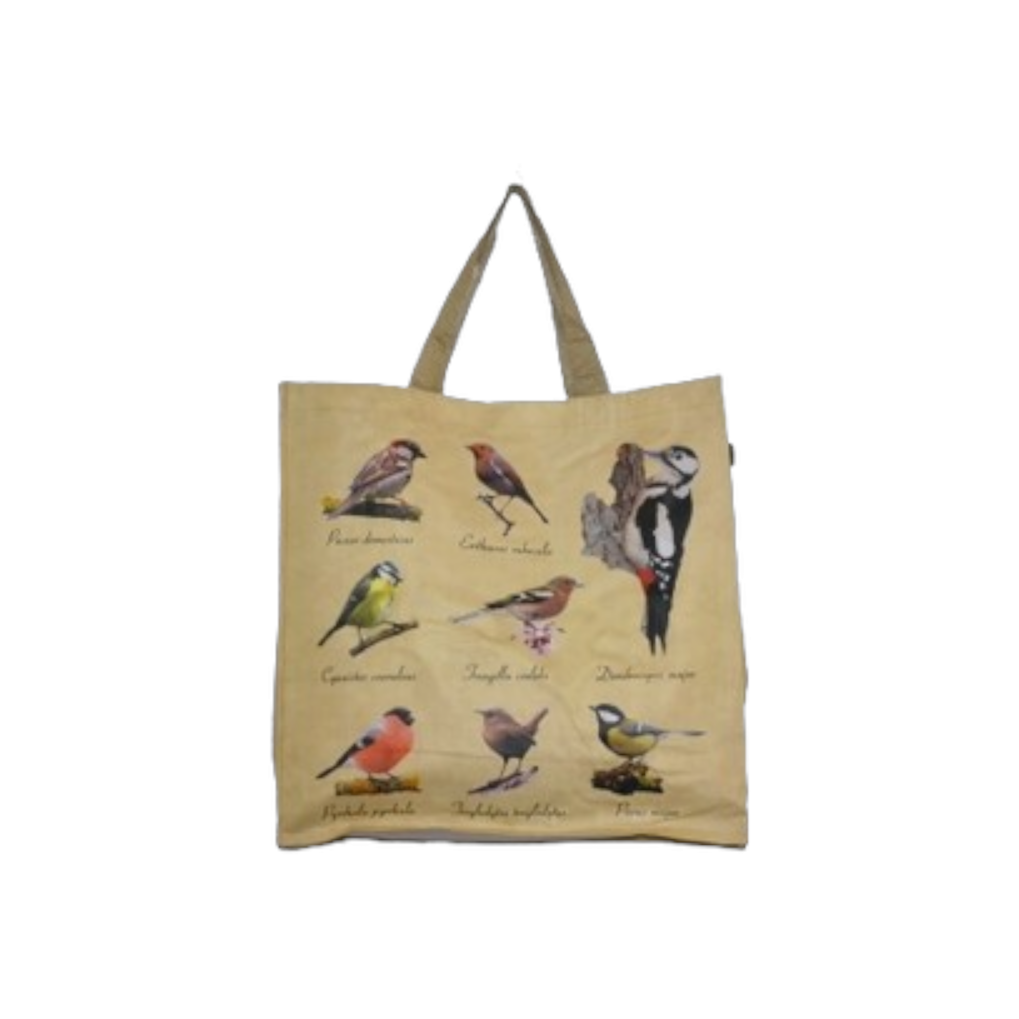 China Bag PVC Shopping Bags Assorted Printed ZLF-2023-045