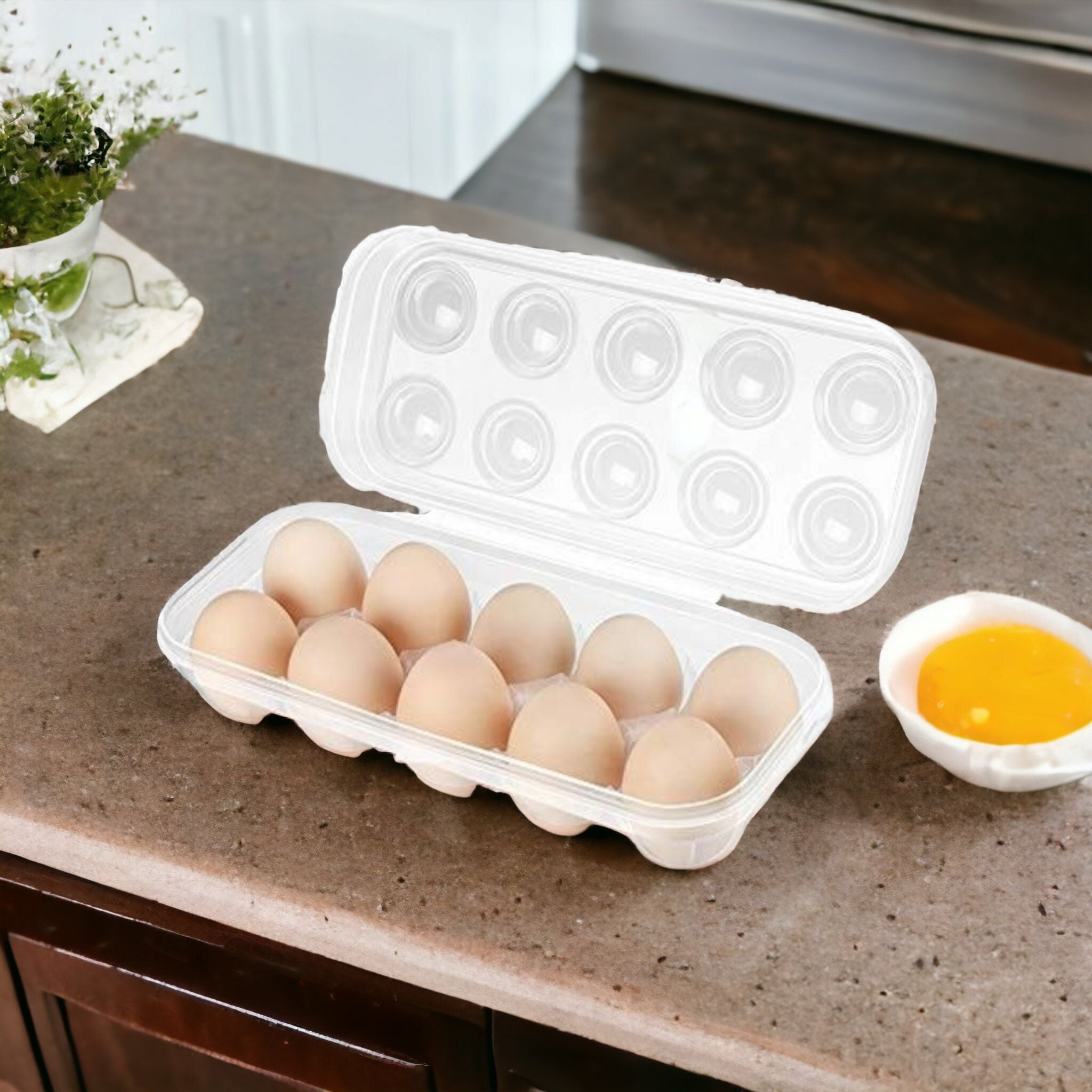 Plastic Egg Storage Tray Holder 10-Grid Clamshell Box Formosa