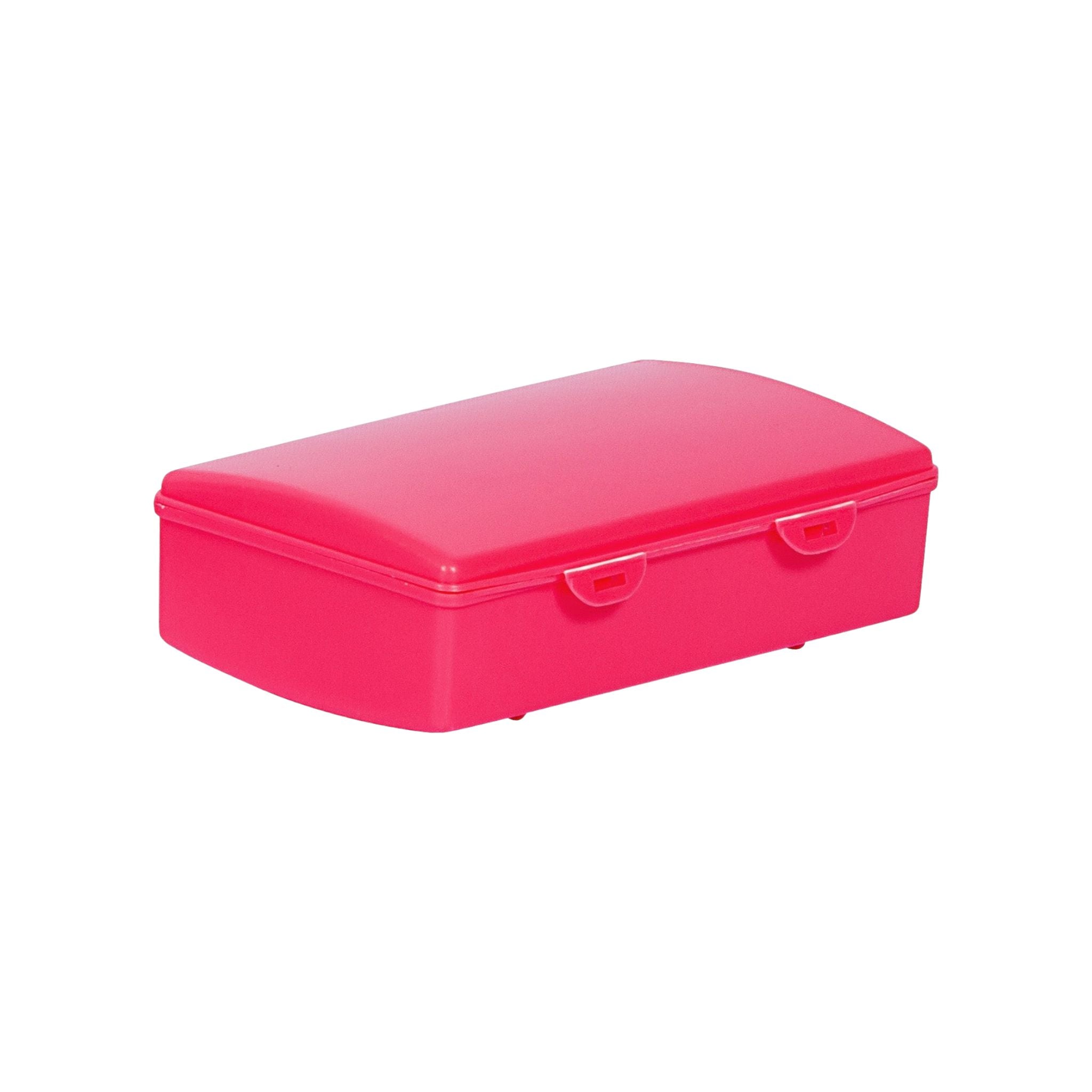 1L Lunch Box Hinged Buzz