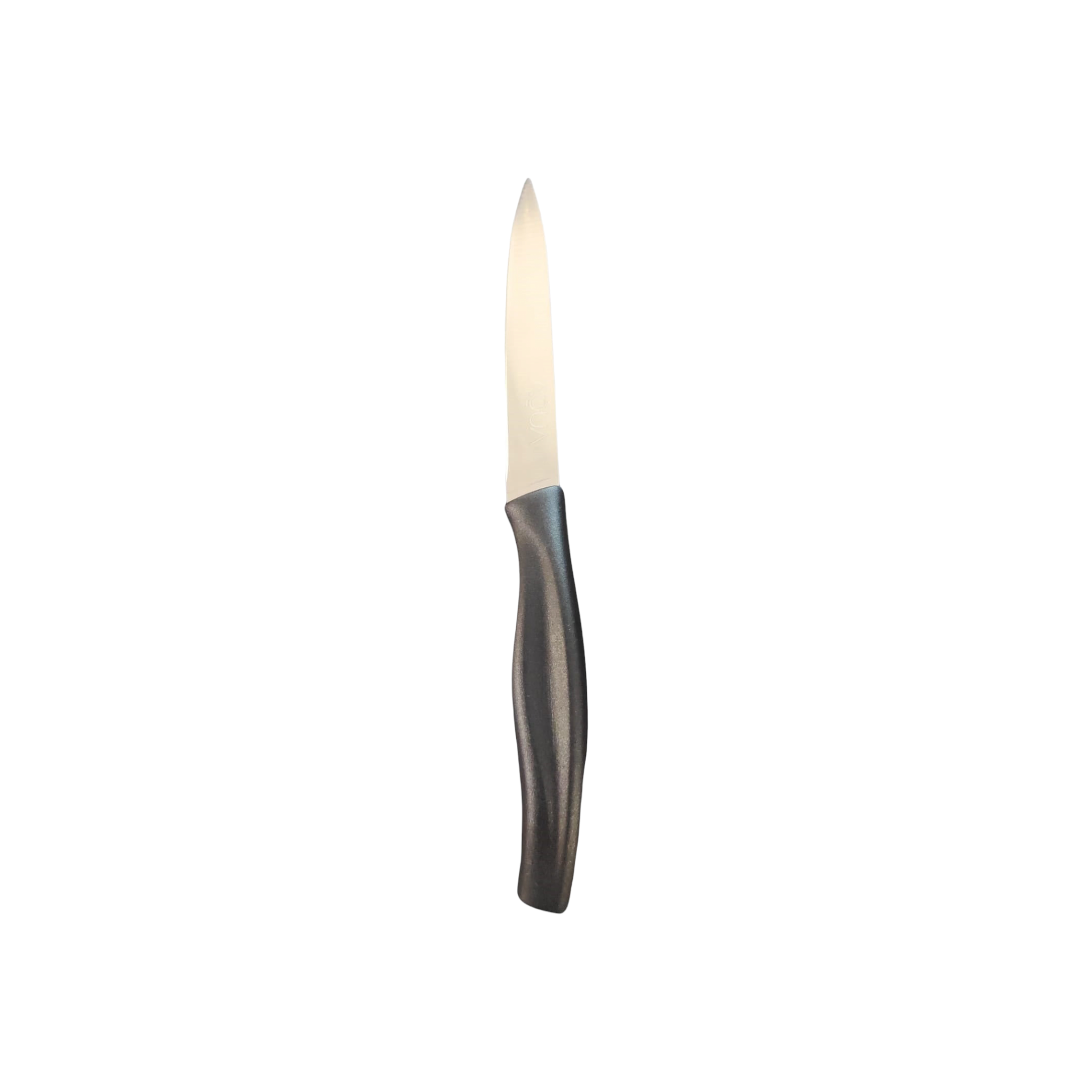 Aqua Kitchen Knife Stainless Steel Tip Black Handle