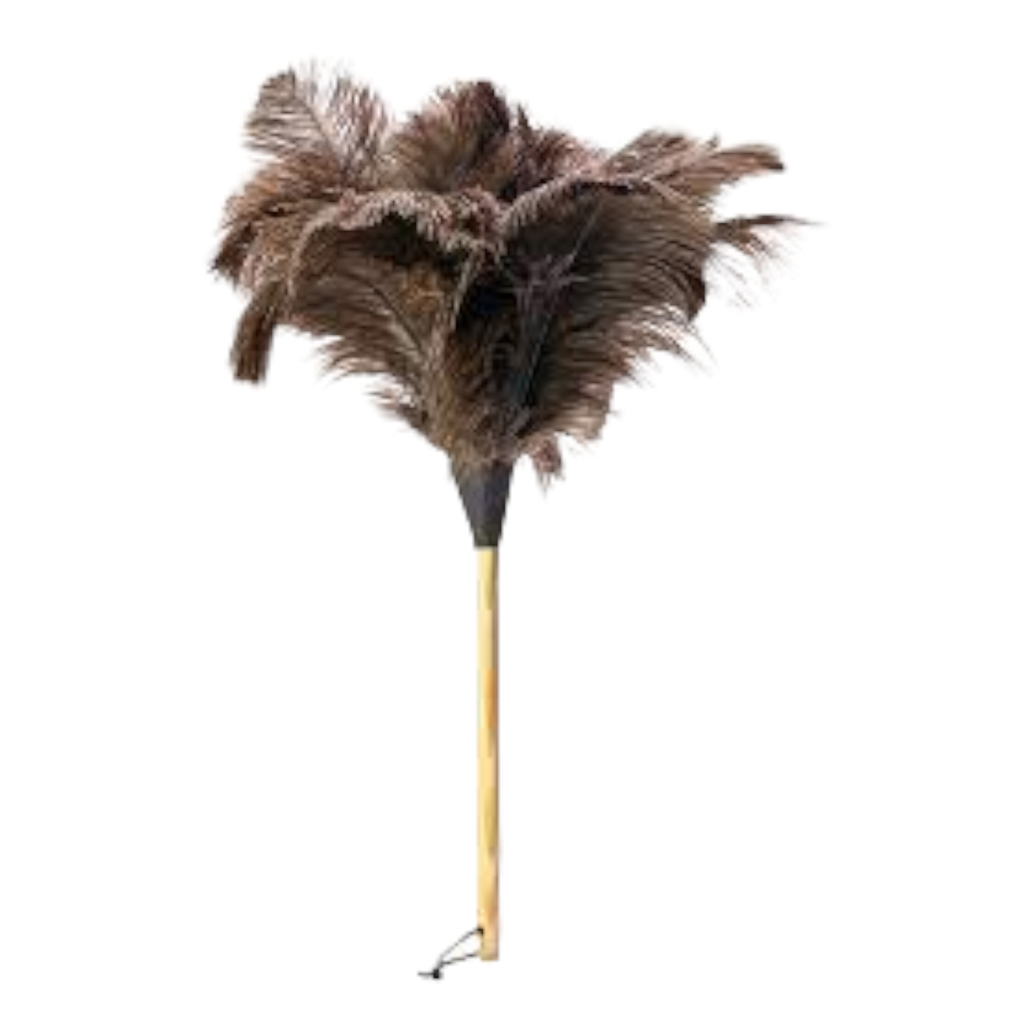 Feather Duster Short