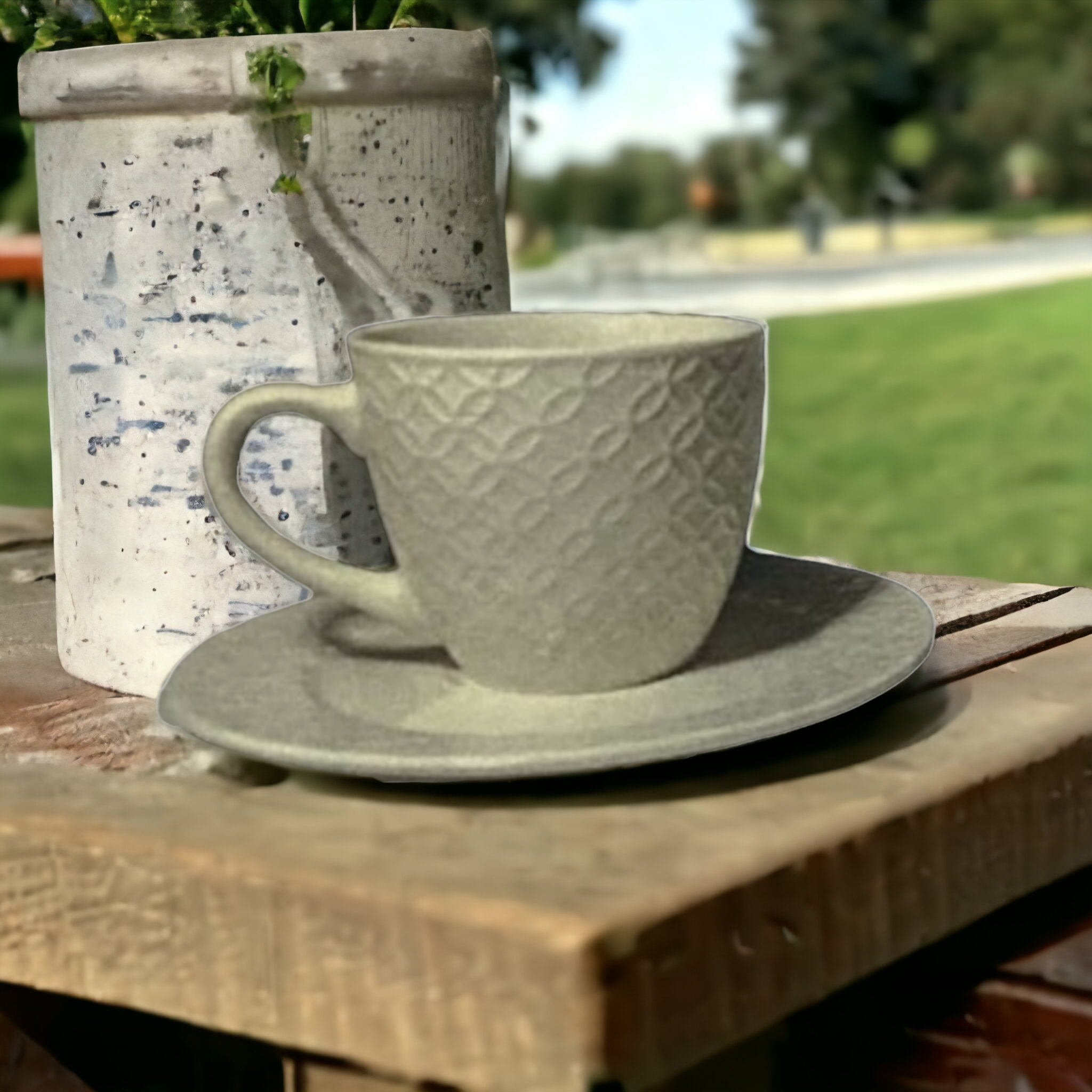 Ceramic Cup & Saucer 6pc Set