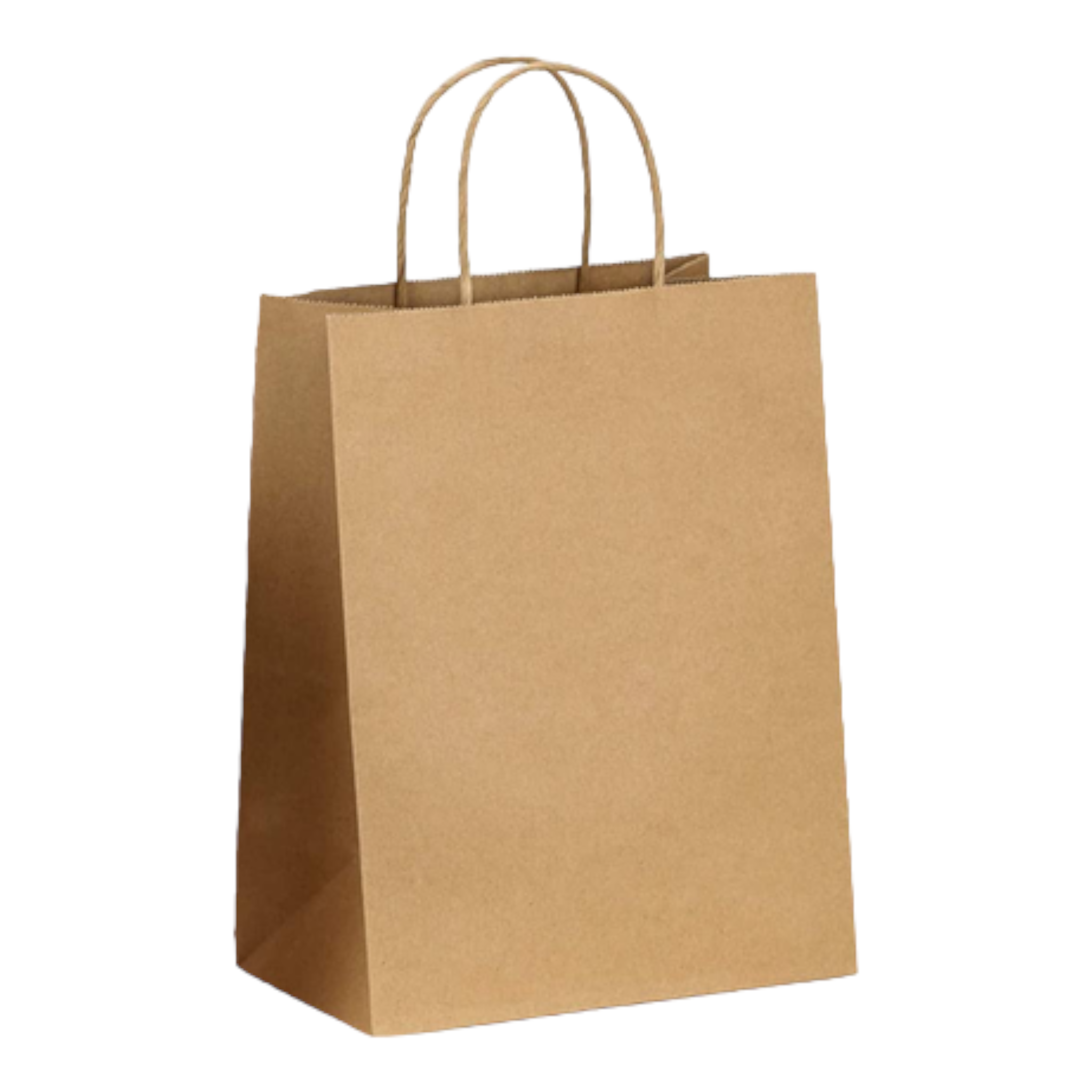 Kraft Paper Gift Bag Potrait  130gsm with Paper Twist Handle