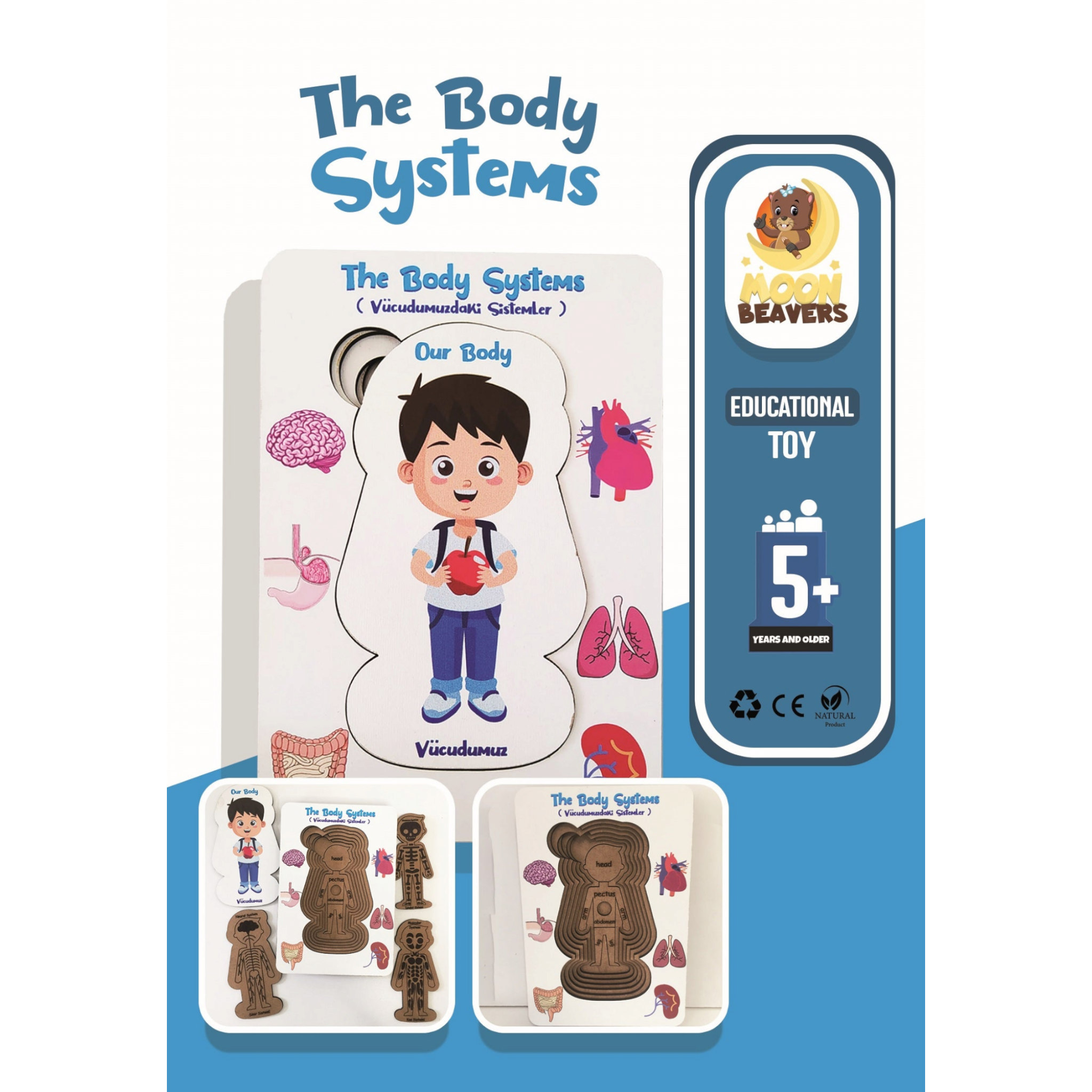 Educational Toy The Body System Puzzle Boy 13x18cm MB34