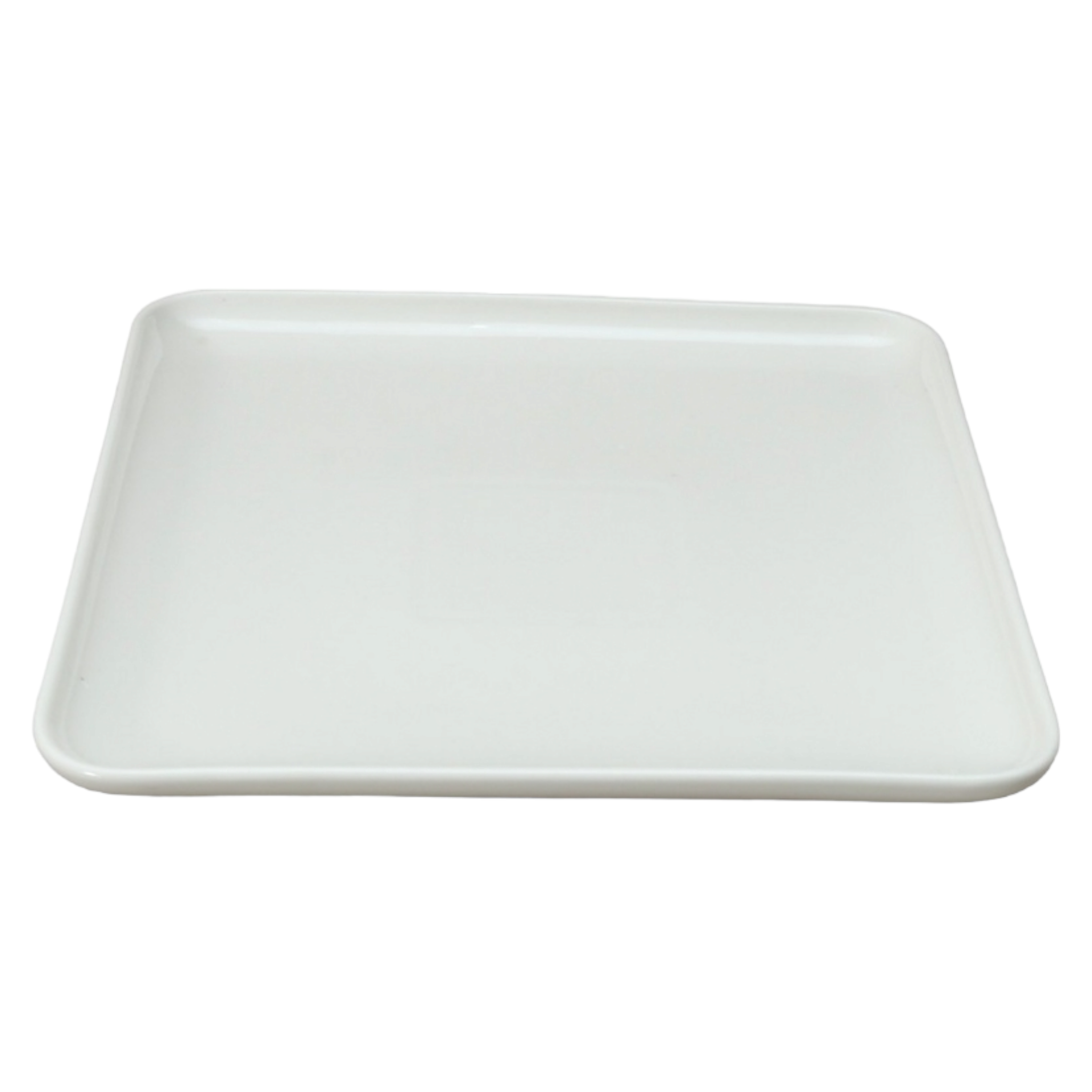 Ceramic Contemporary Dinner Plate 50207A