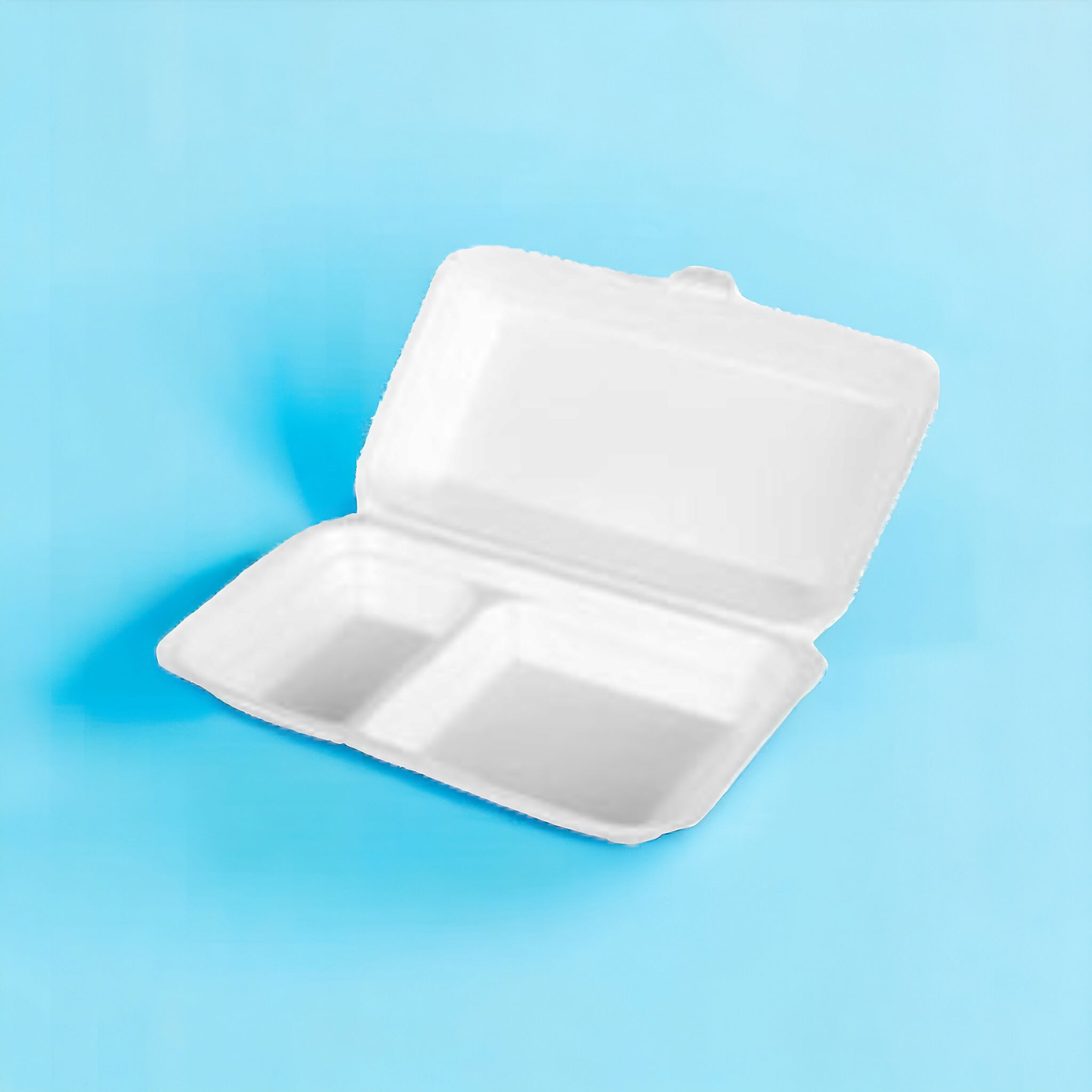 Fomo Food Tray No.40 2-Division Clamshell 75pack