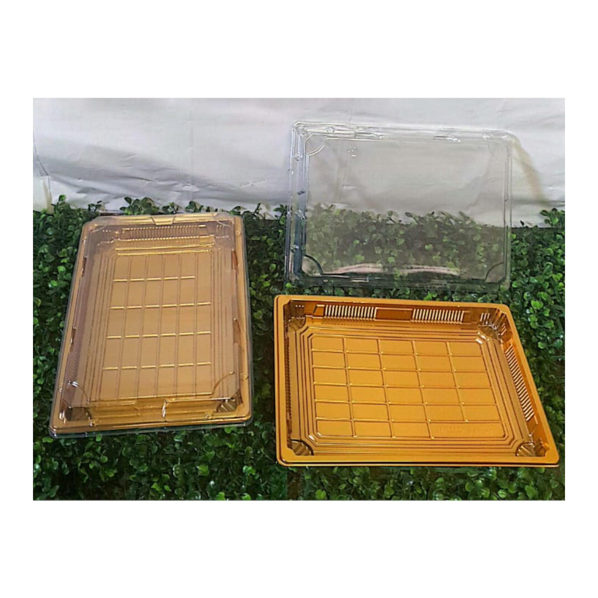 Disposable Serving To Go Plastic Tray Box with Clear Lid 255x185x20mm