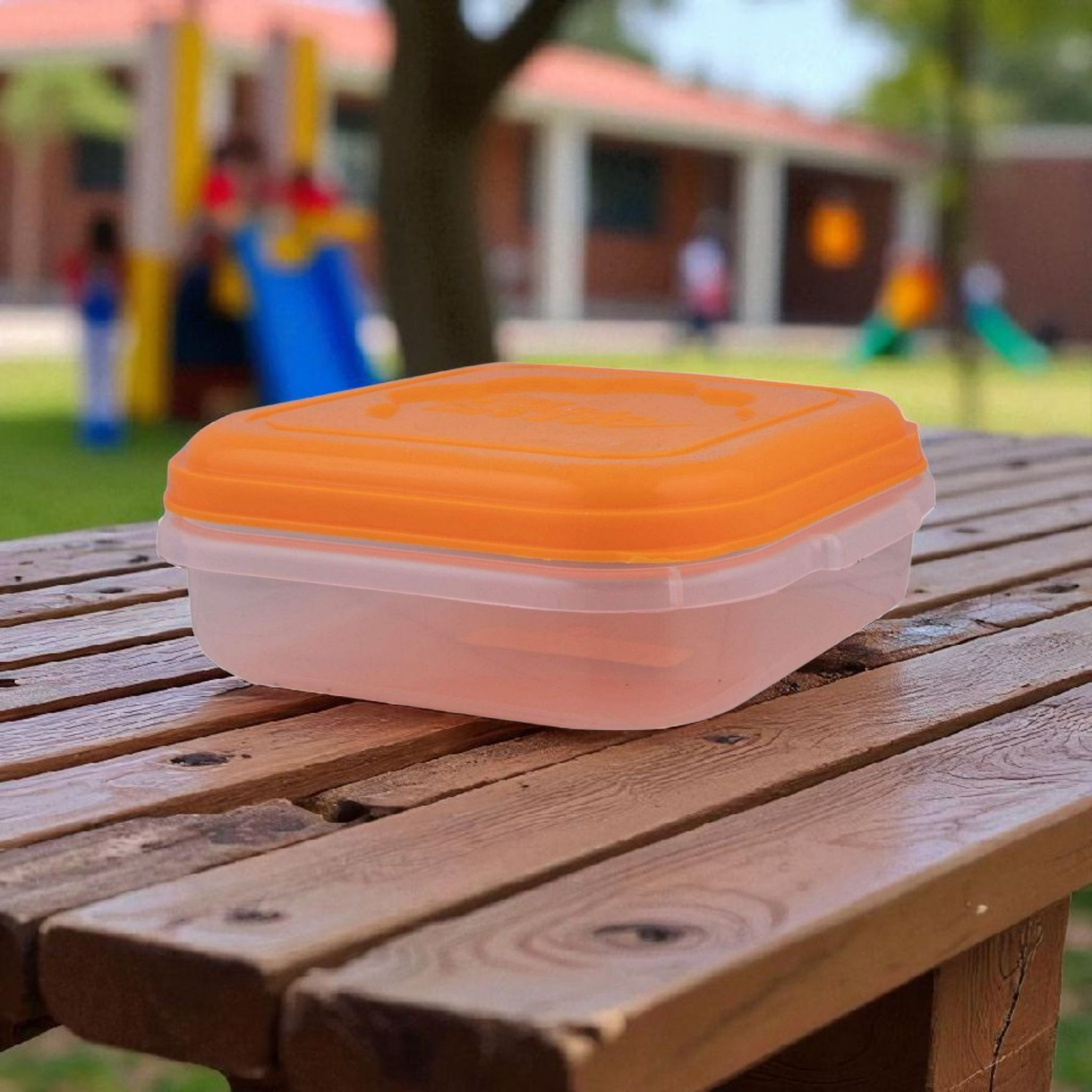 Elite Lunch Box 800ml Storage