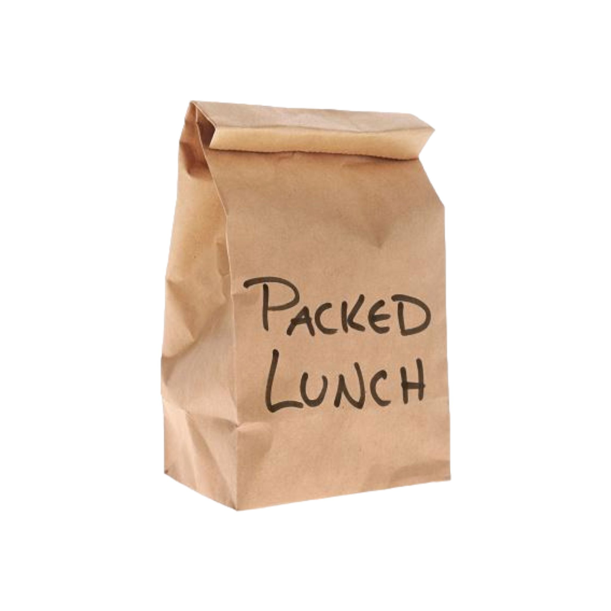 Brown Kraft Paper Bags No.3 SO3 100pack