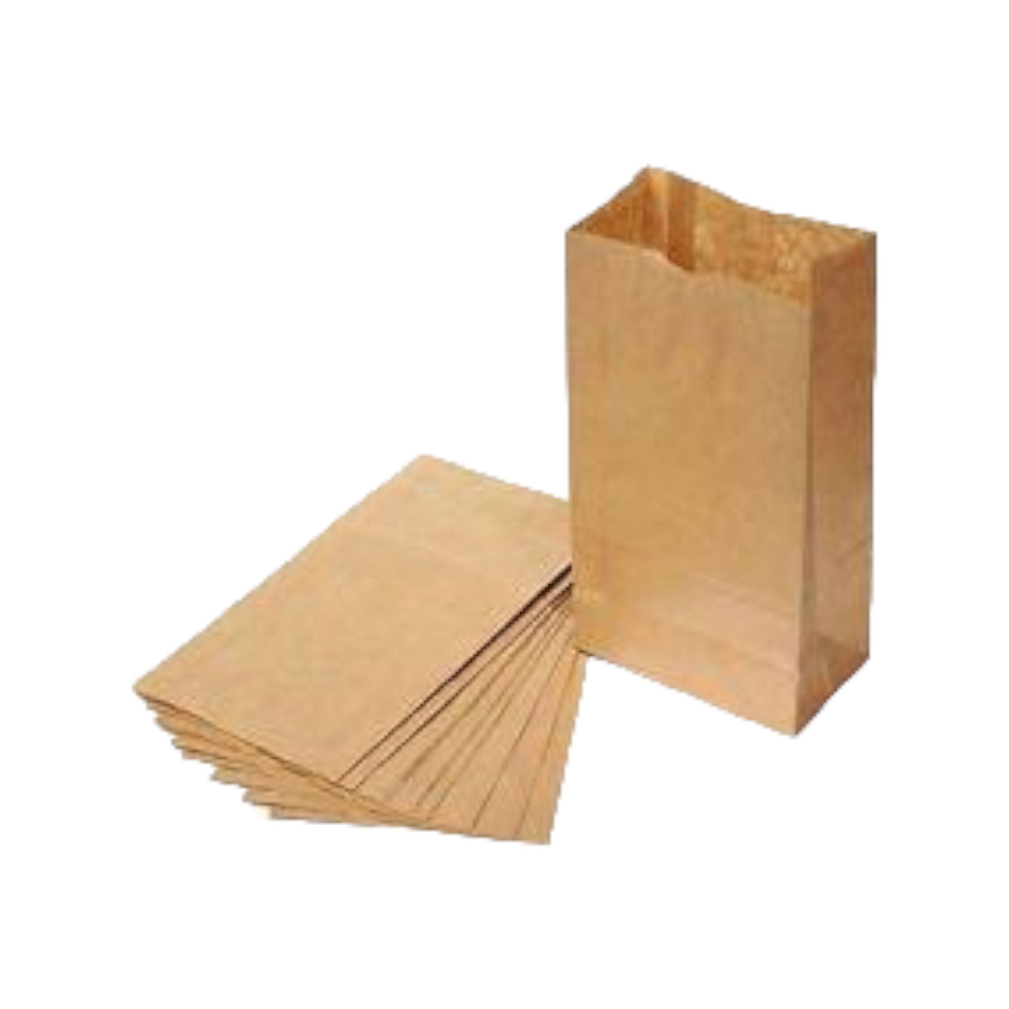 Brown Kraft Paper Bags No.25 SO25 100pack