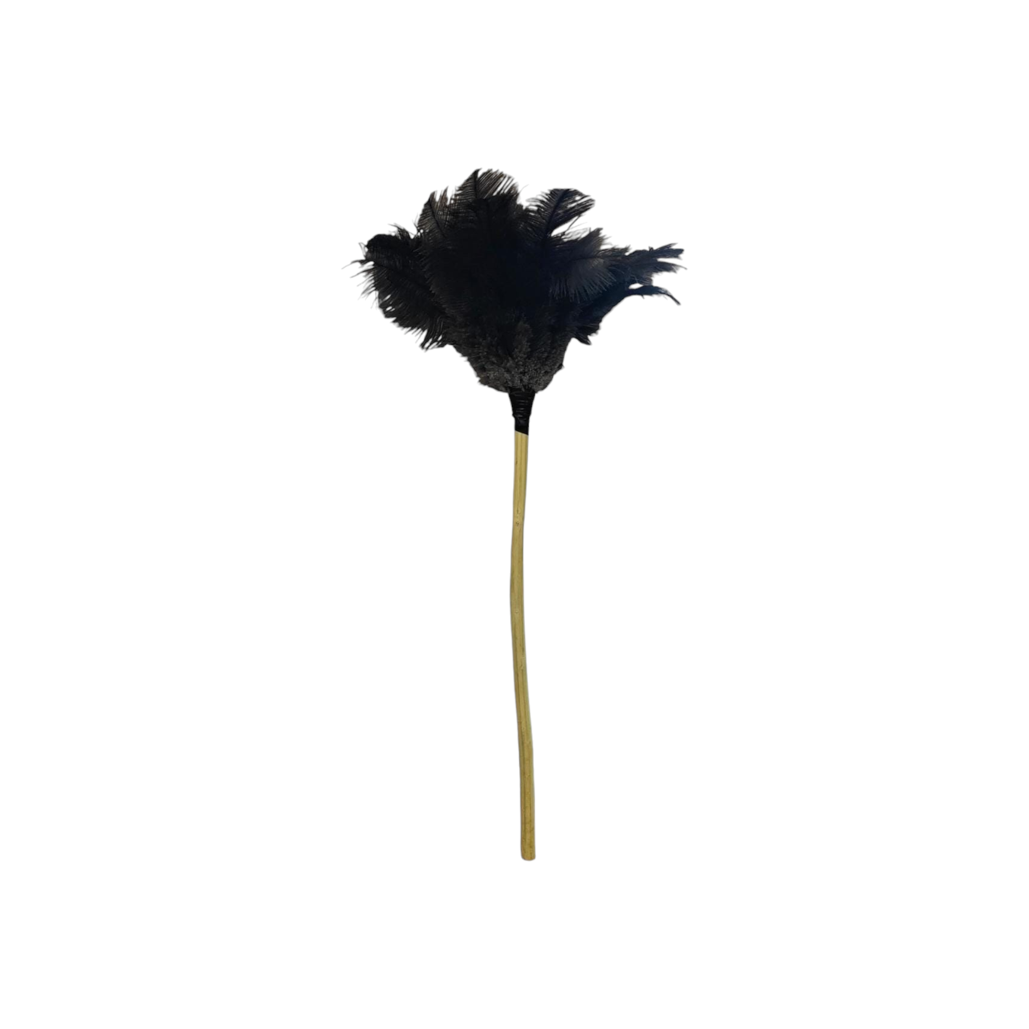 Feather Duster Long with Wooden Stick