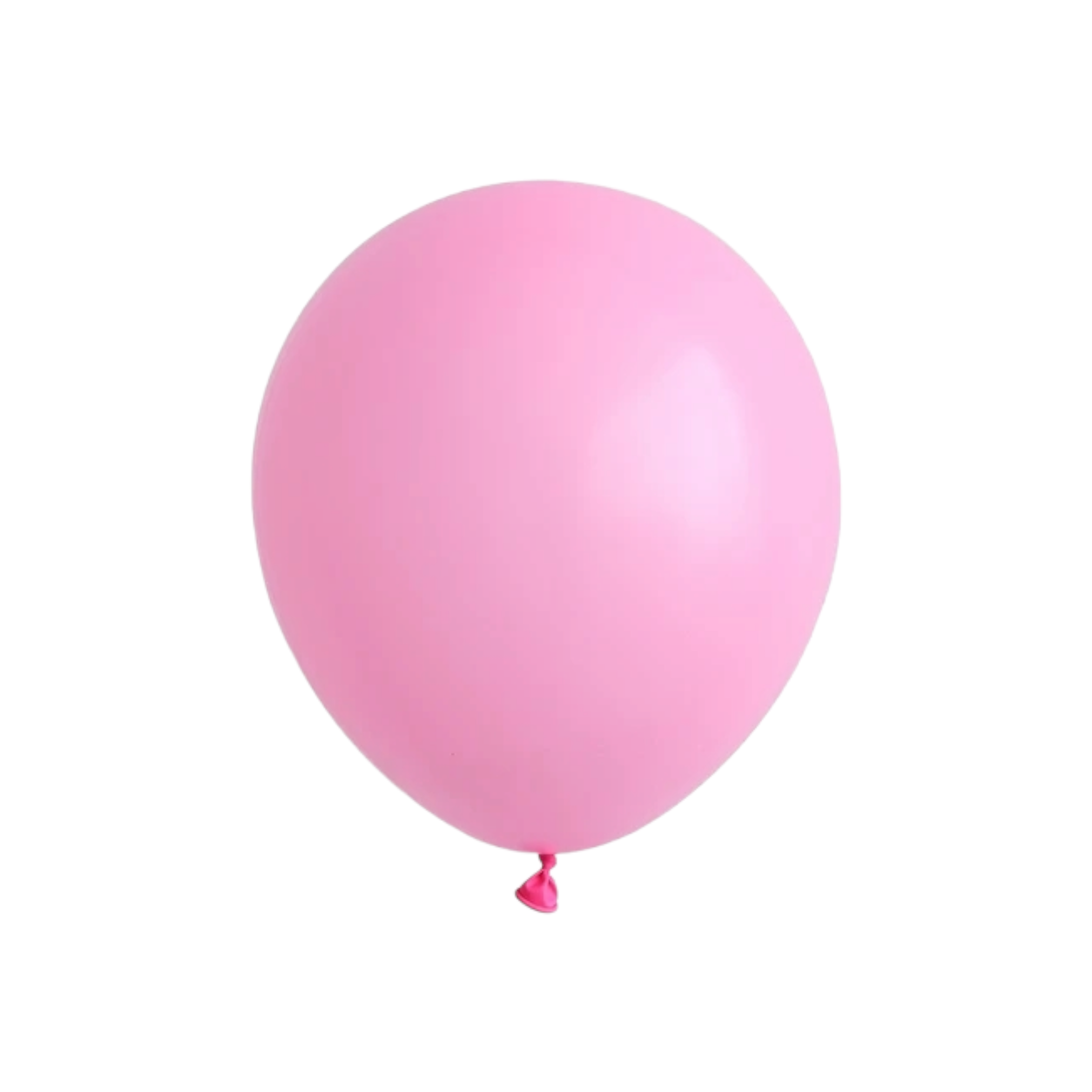 Latex Matte Party Balloons 12inch 10pcs