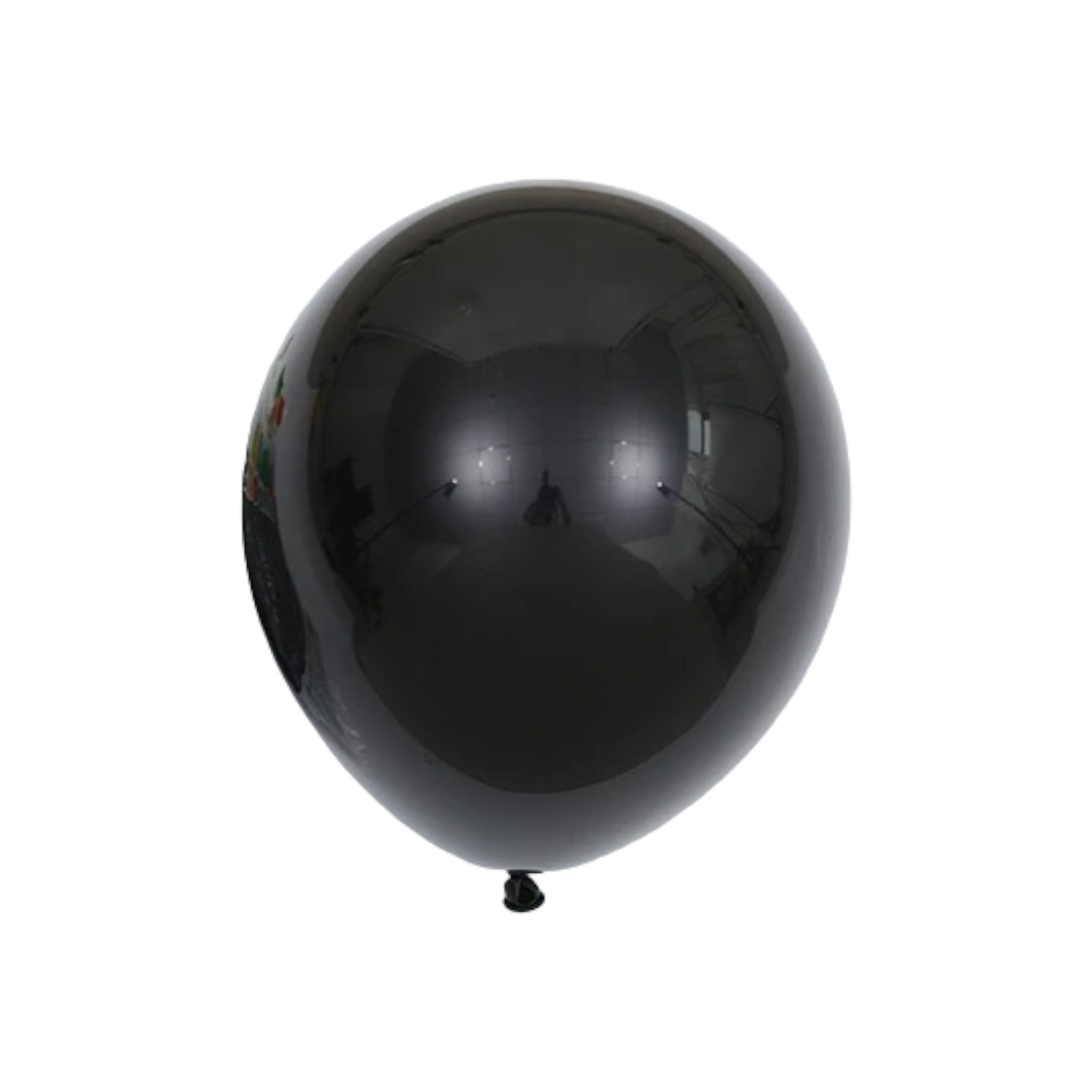 Latex Matte Party Balloons 12inch 10pack