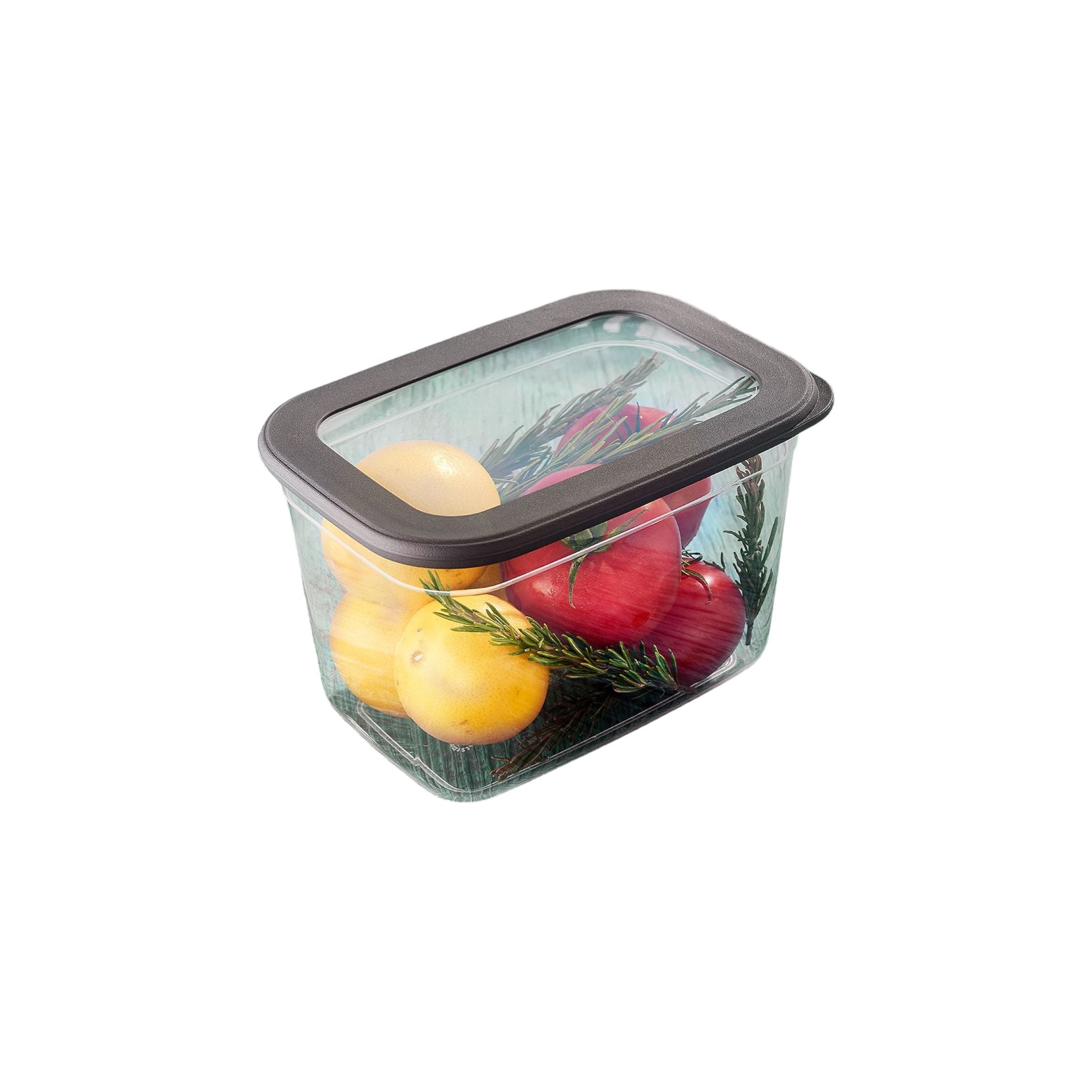 Foly Life Peggy Storage Box 2.3L with Tight Lid BNM0476 Titiz