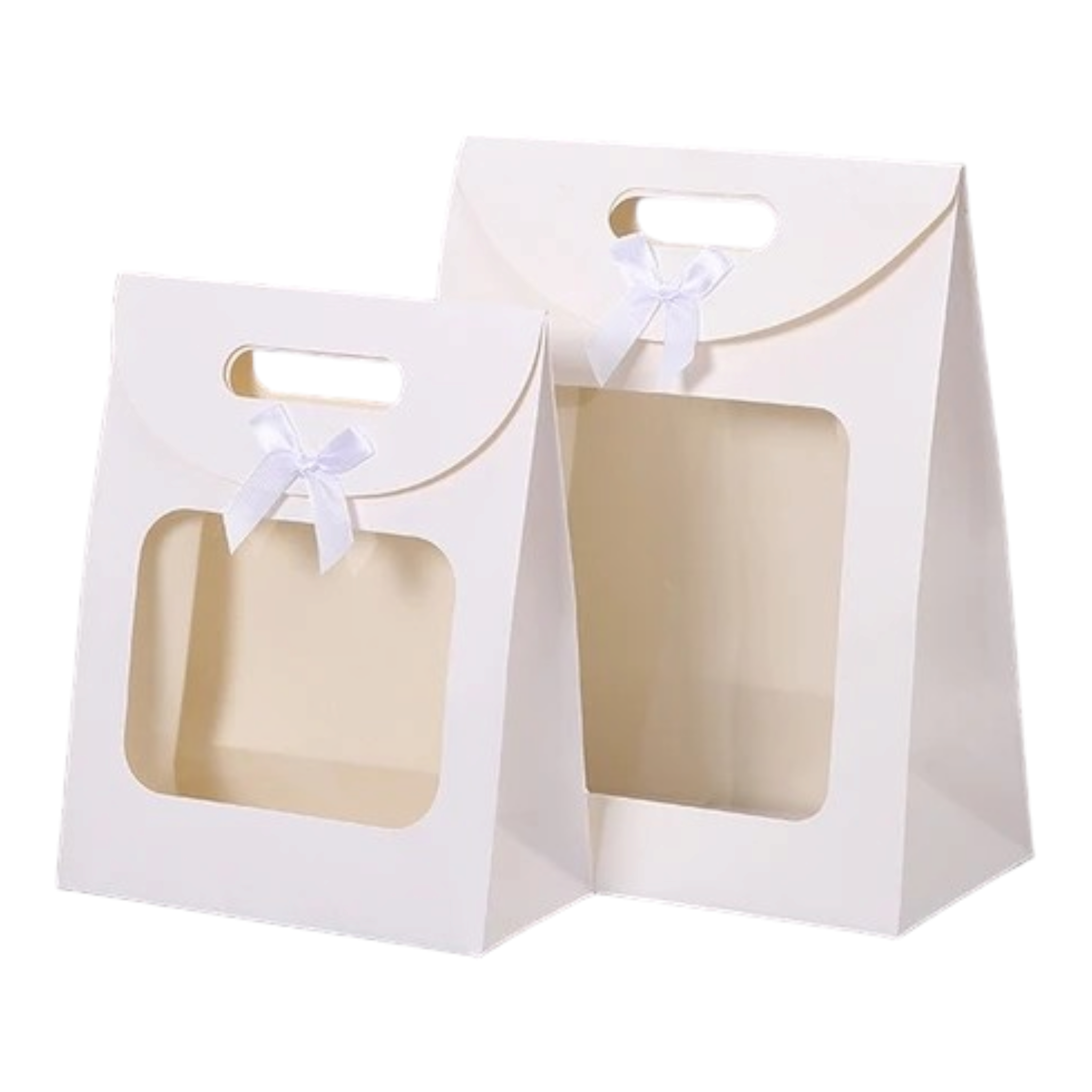 Gift Bag Die Cut Handle 24x19x9cm with Bow Ribbon and Clear PVC Front