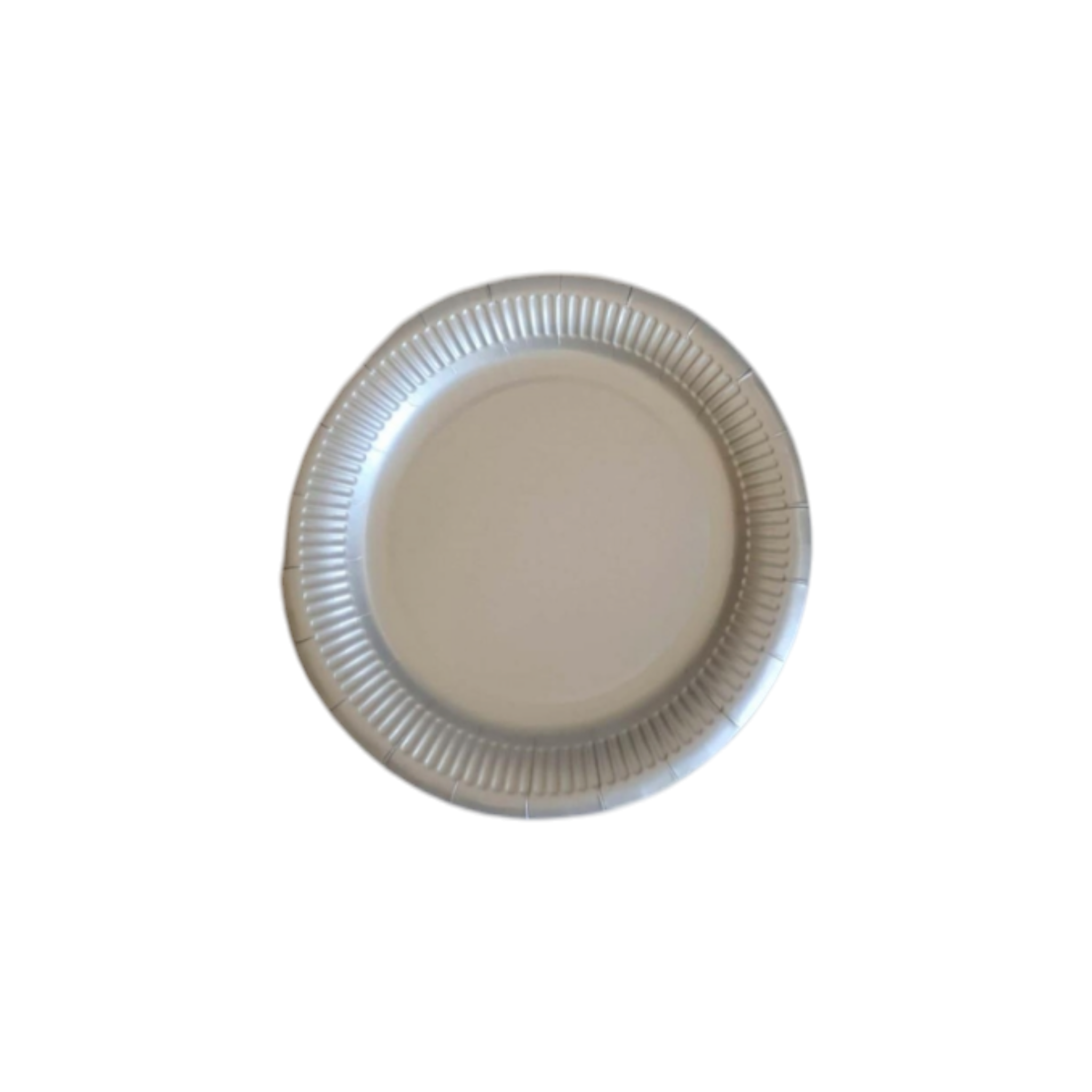 Party Paper Plates 9inch 10pack