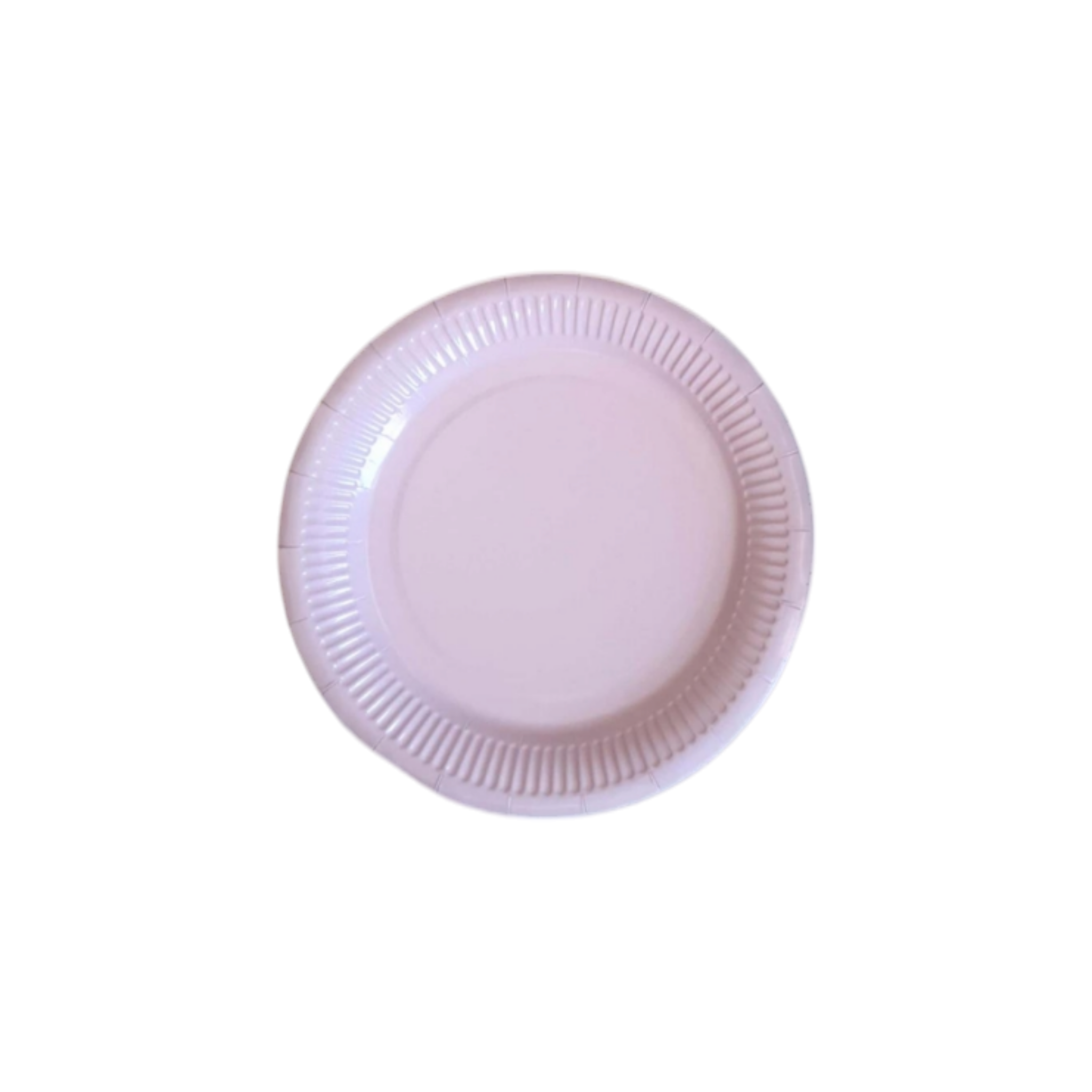 Party Paper Plates 9inch 10pack