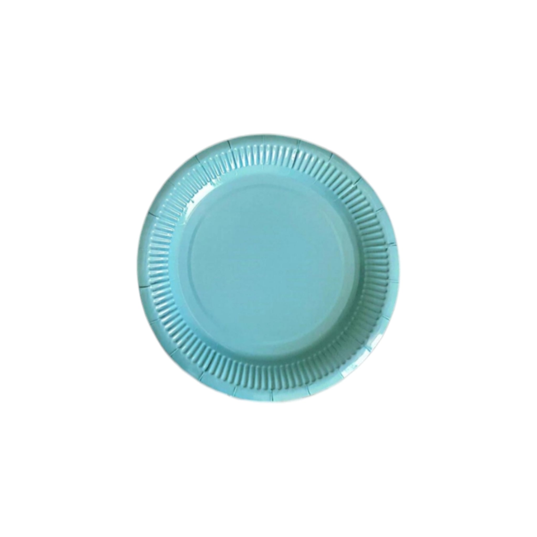 Party Paper Plates 9inch 10pack