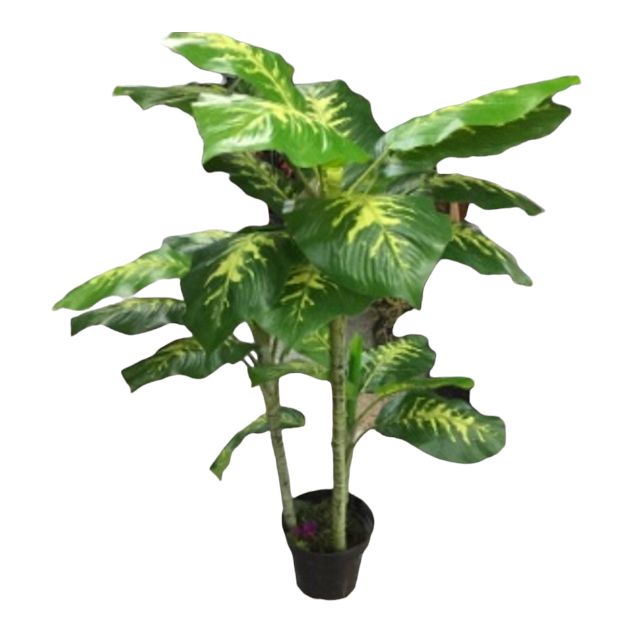 Artificial Plant Dumb Cane Tuftroot 105cm