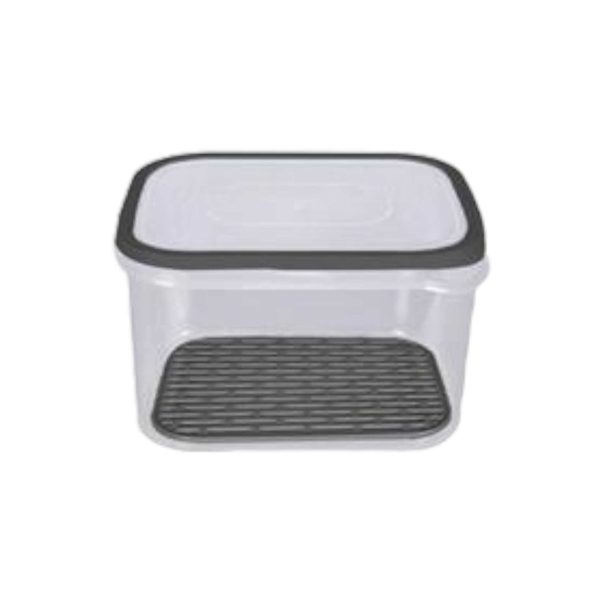 Fresh Food Storage Container with Strainer 16x12x10cm