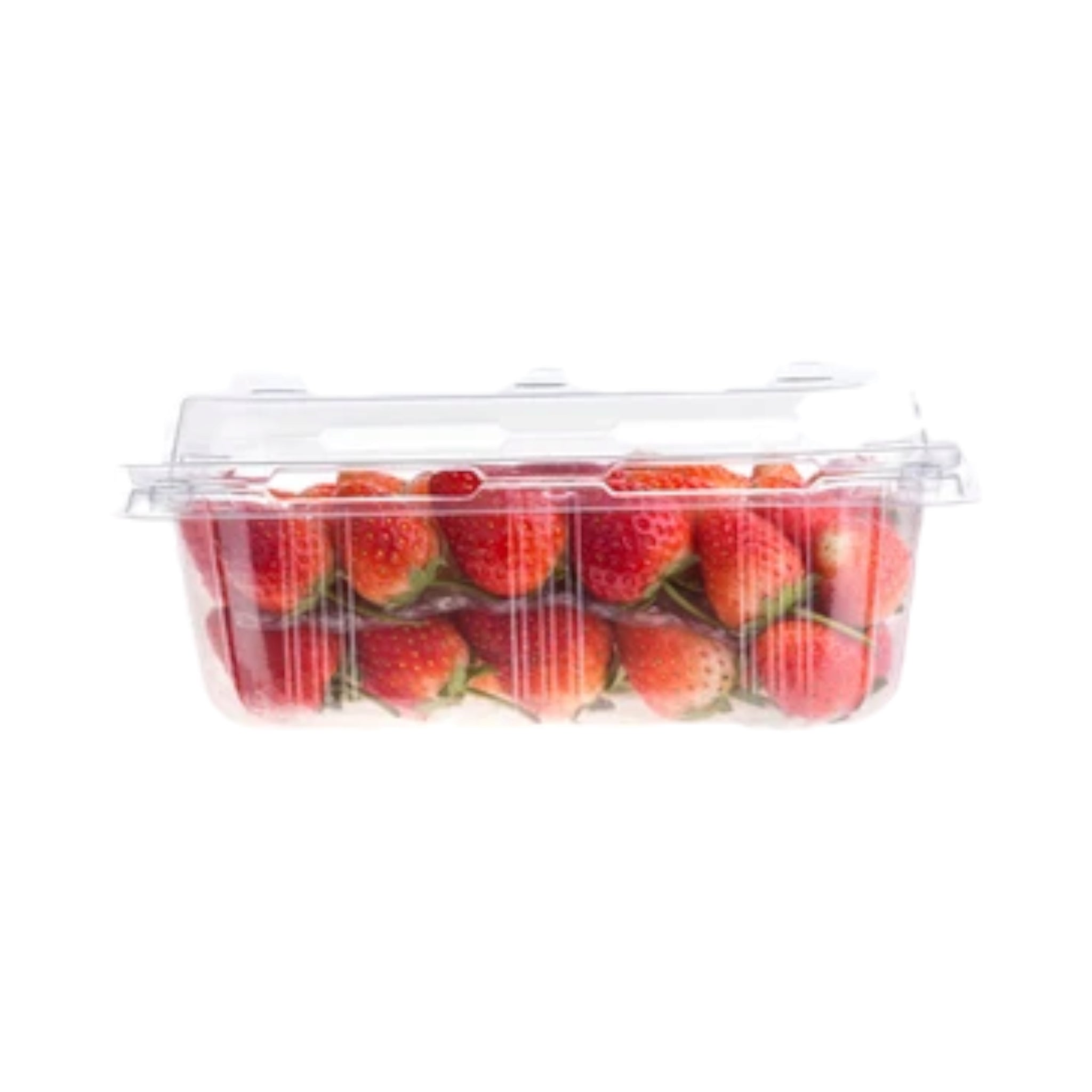 Zibo Strawberry Punnet Clamshell Container 250g T847