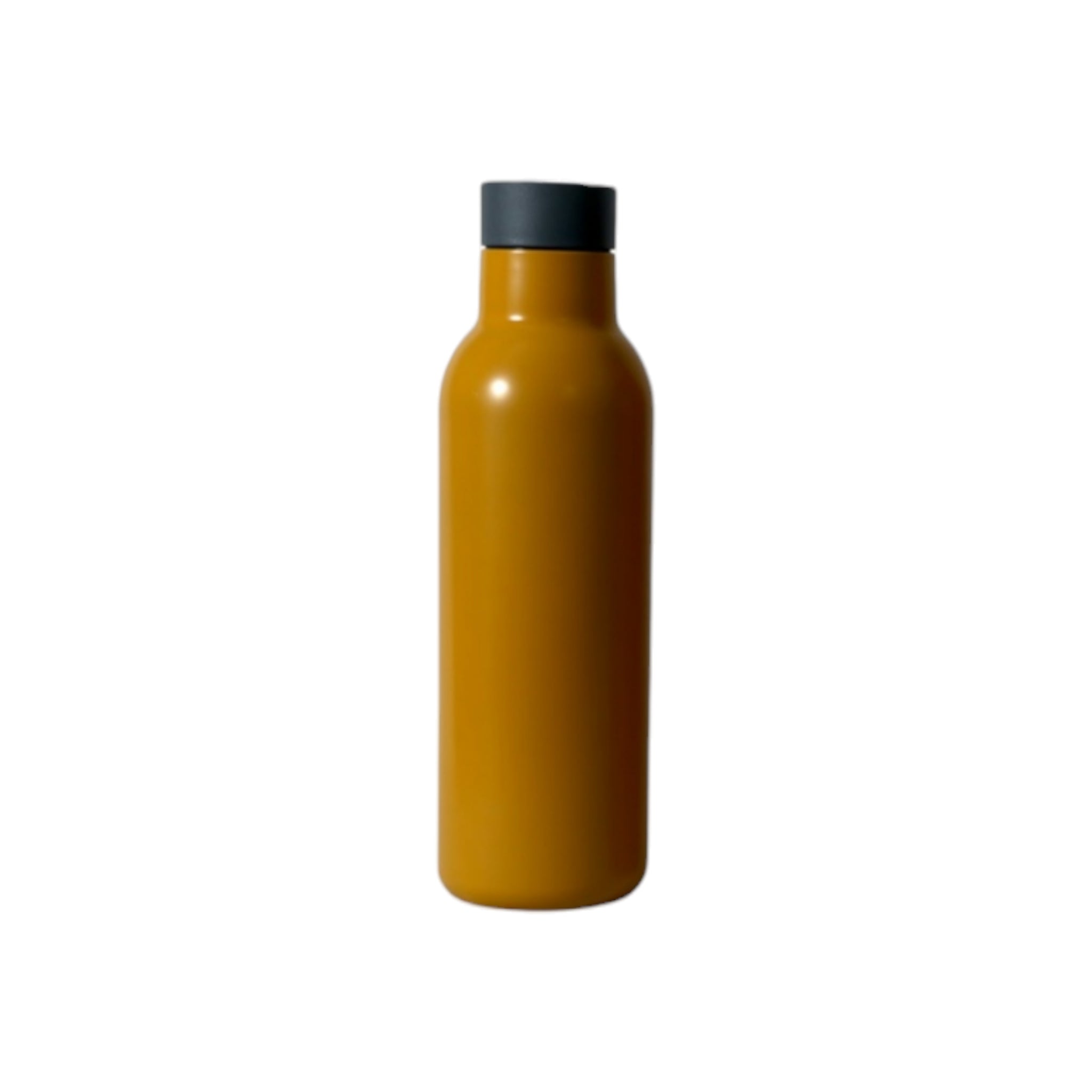 Travel Flask Bottle ISO 0.45L Double Wall Stainless Steel 1pc