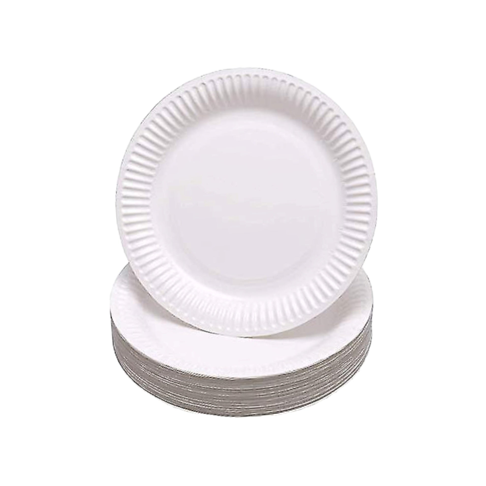 Party Paper Plates 9inch 10pack