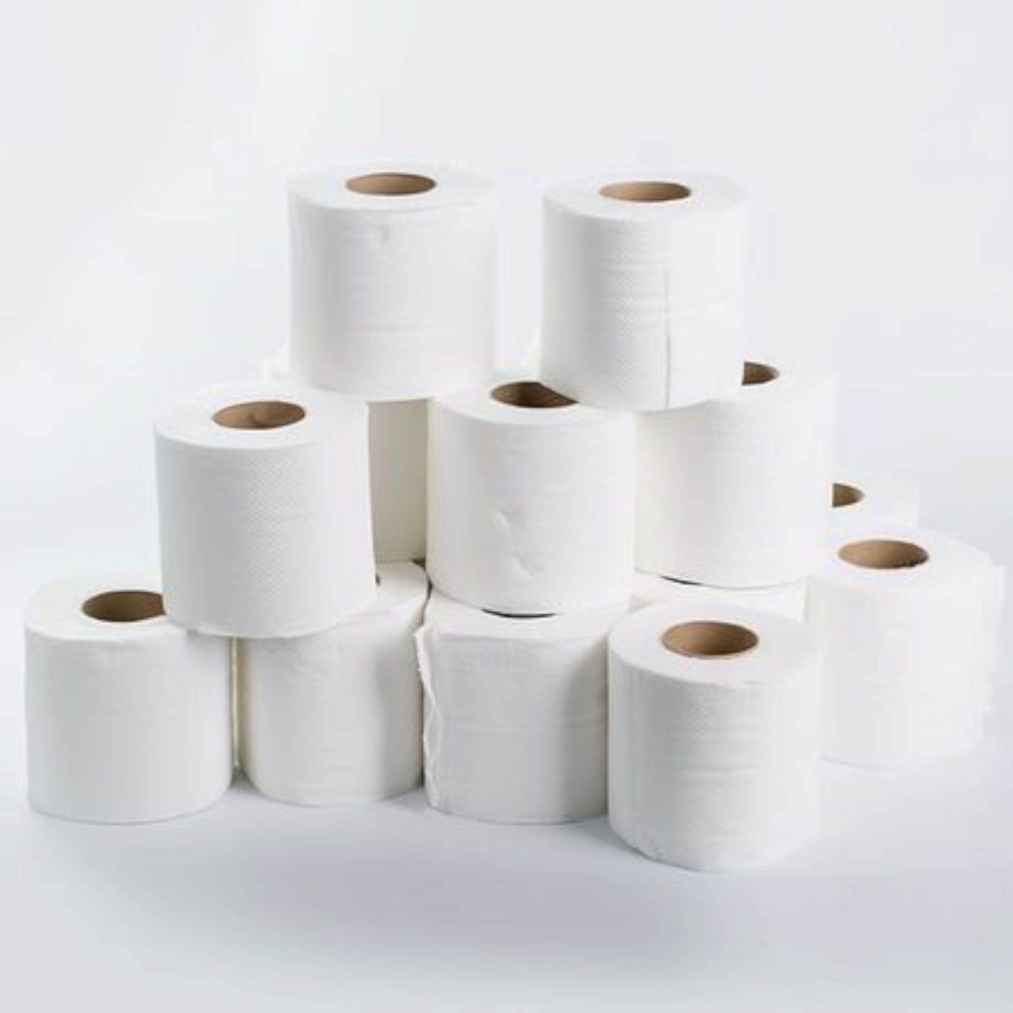 Twinsaver Toilet Paper Rolls 2-Ply 24s Wrapped 1364