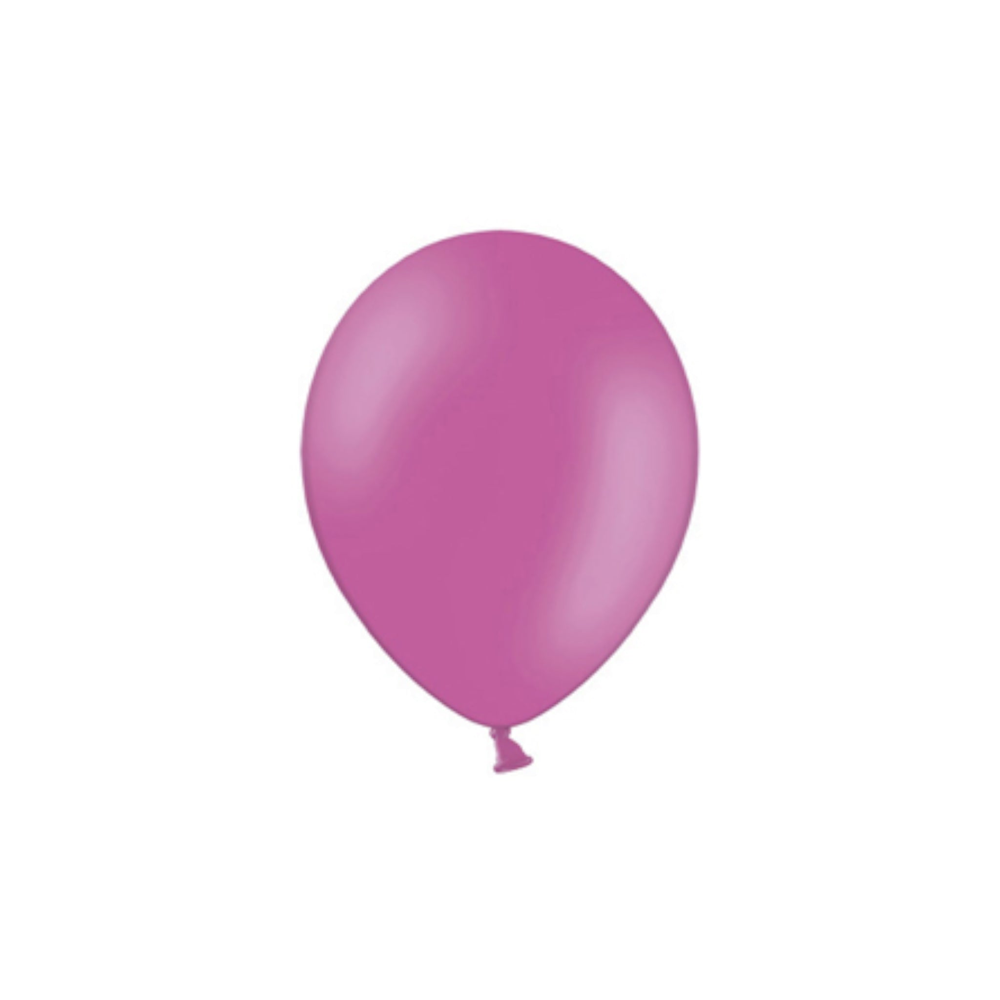 Party Latex Pastel Balloon 2.8g 10.5inch 10pack