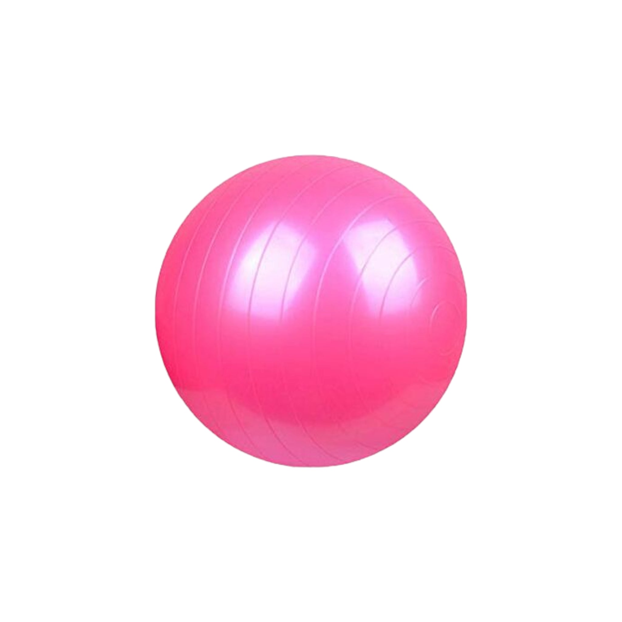 Pulse Active Exercise Yoga Fitness Ball 65cm