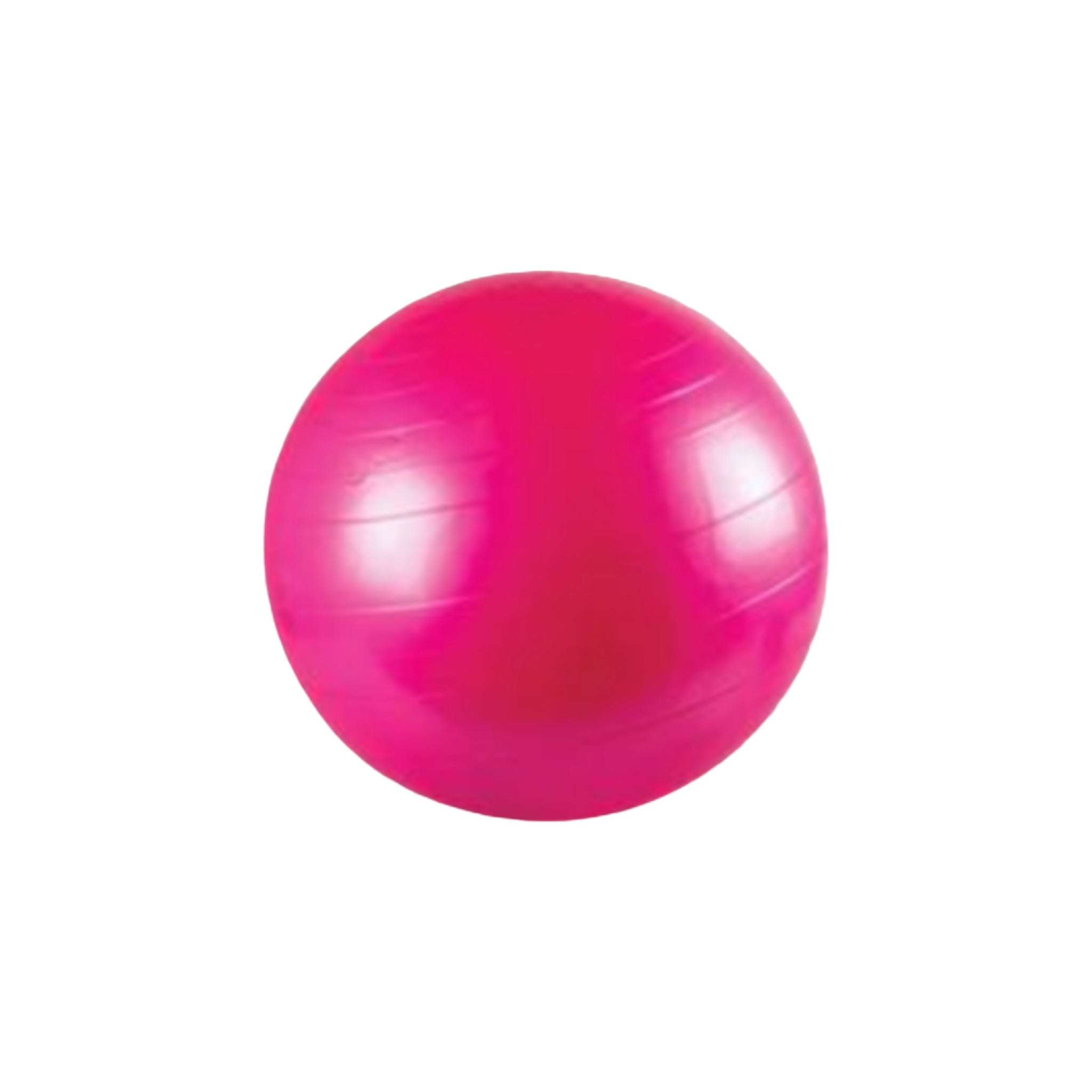 Pulse Active Exercise Yoga Fitness Ball 65cm