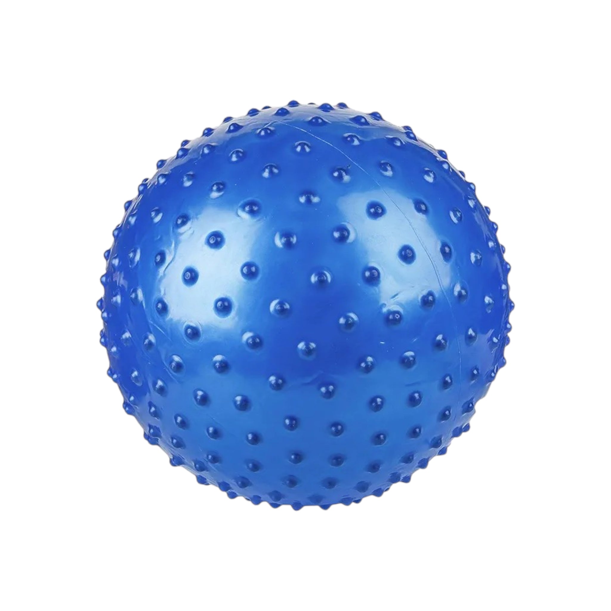Soft Knobby Spiky Sensory Ball 22cm PVC Plastic 70g