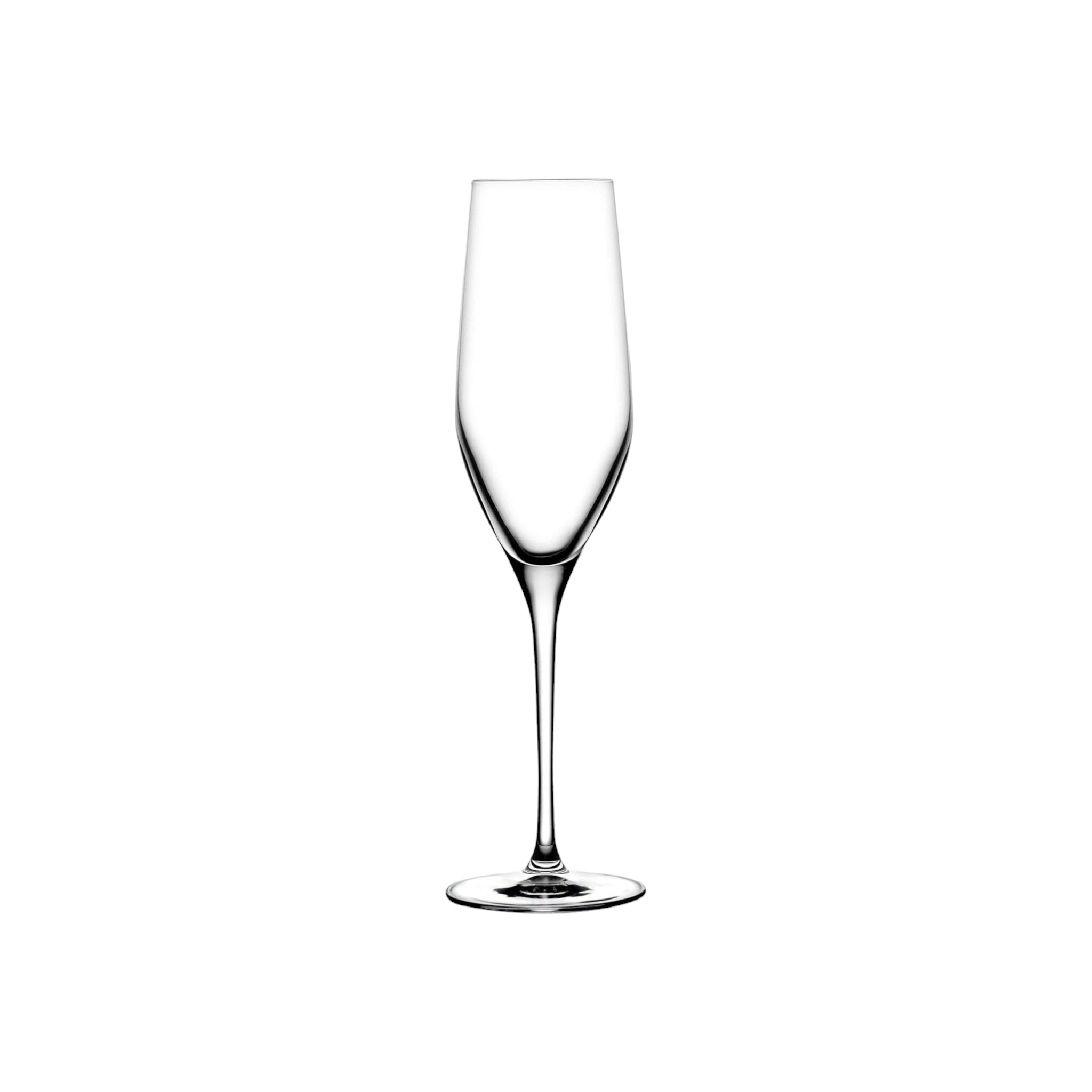 NUDE Glass Tumbler 245ml Vindera Champagne 2pack 23066