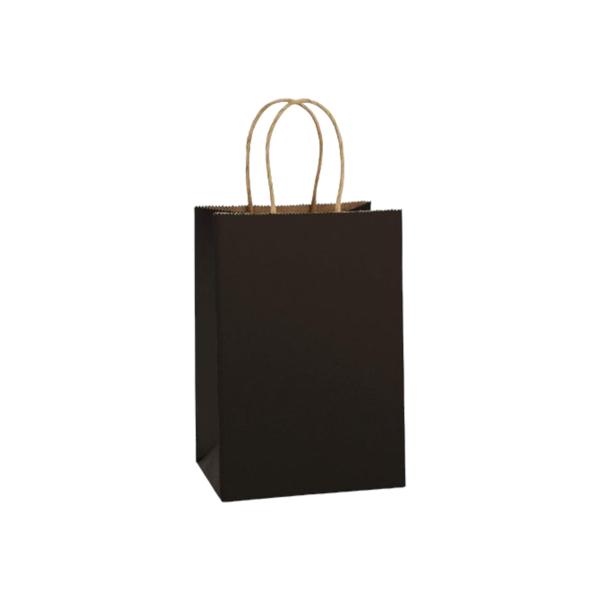 Kraft Paper Gift Treat Bags 120gsm with Paper Twist Handle