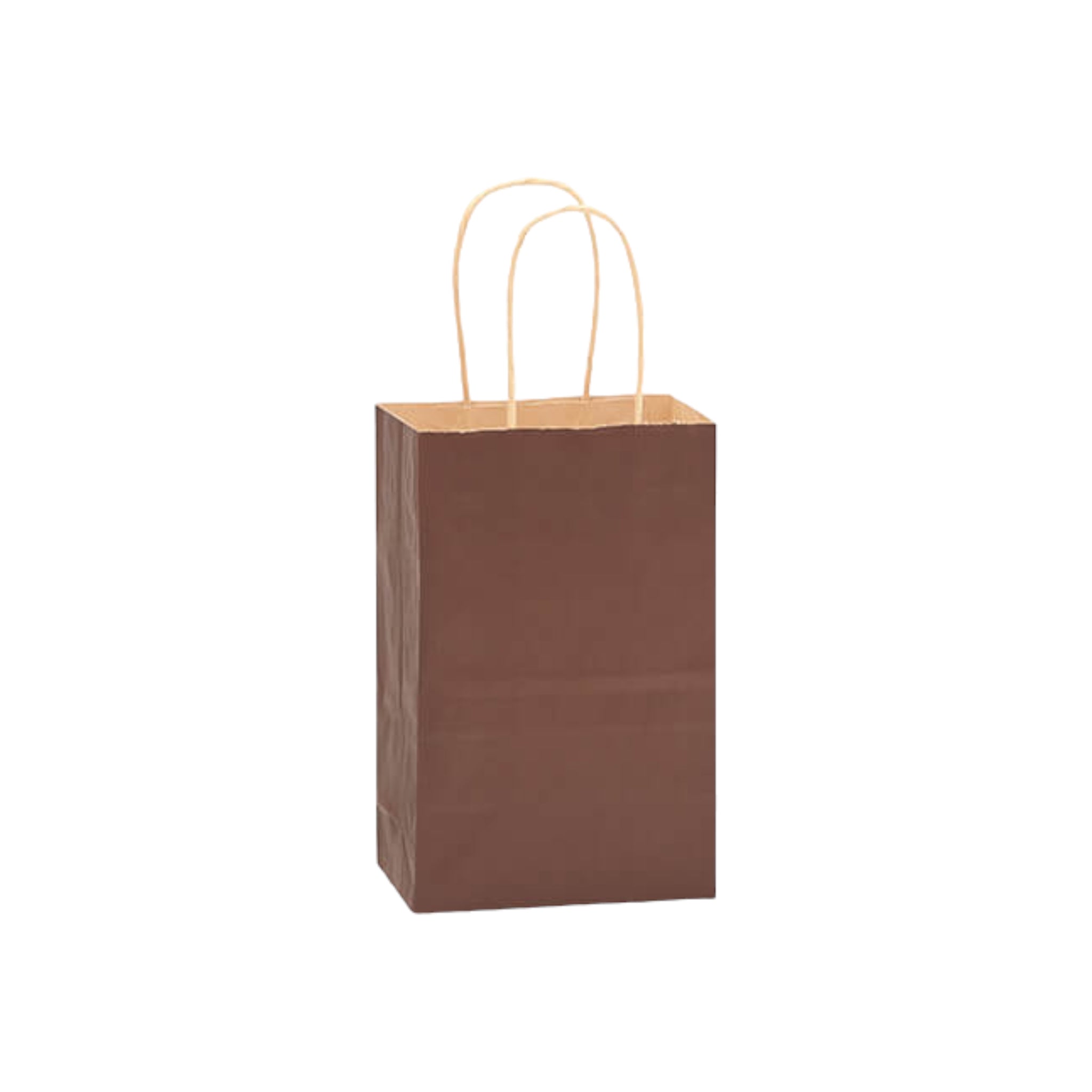 Kraft Paper Gift Treat Bags 120gsm with Paper Twist Handle