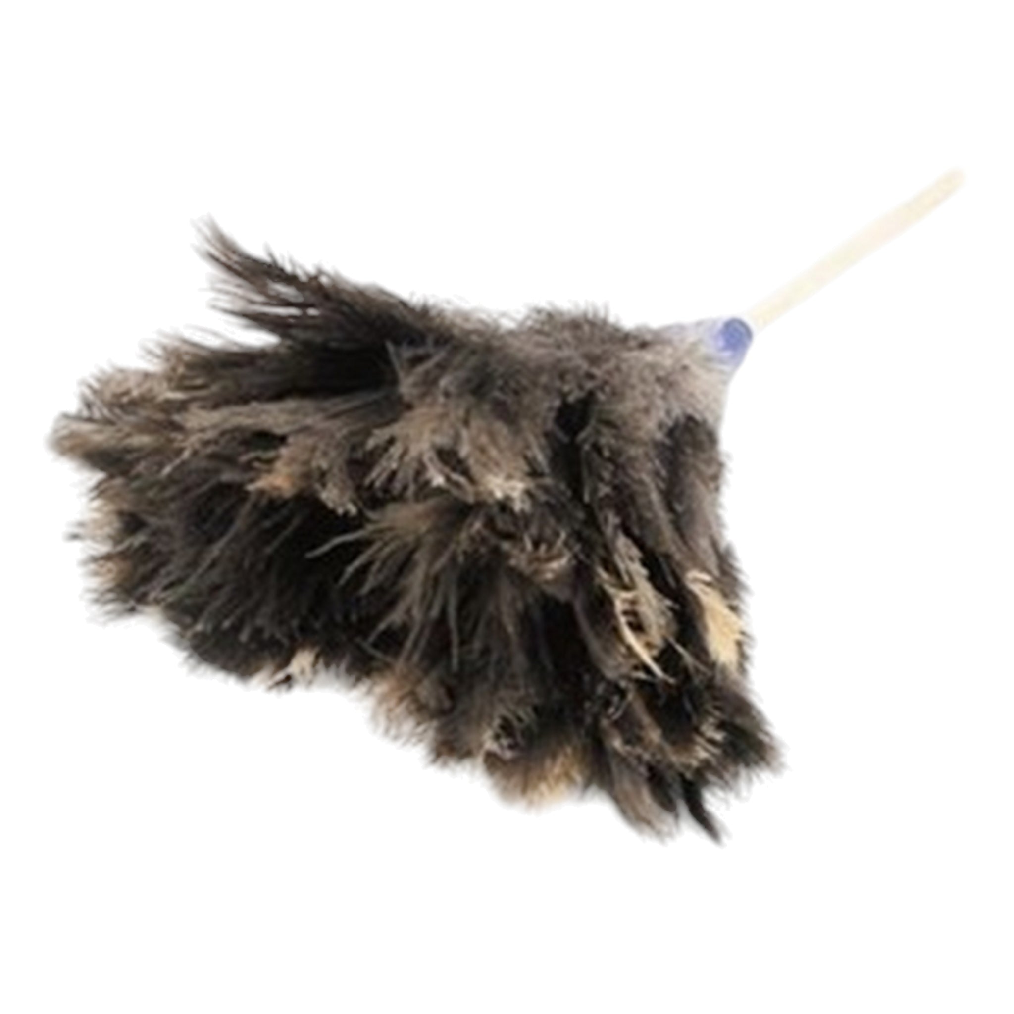 Academy Feather Duster 1.8m Ostrich Feathers F9009