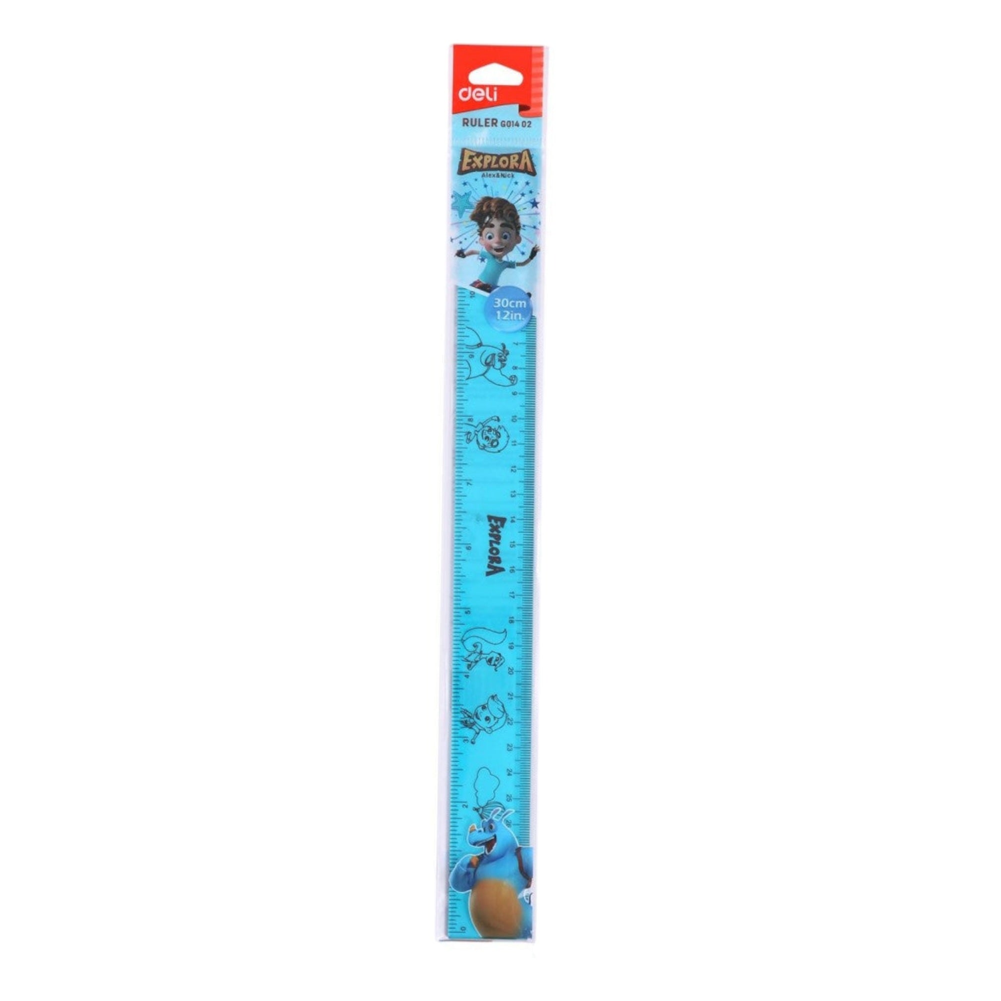 Deli Drafting Ruler 30cm/12Inch