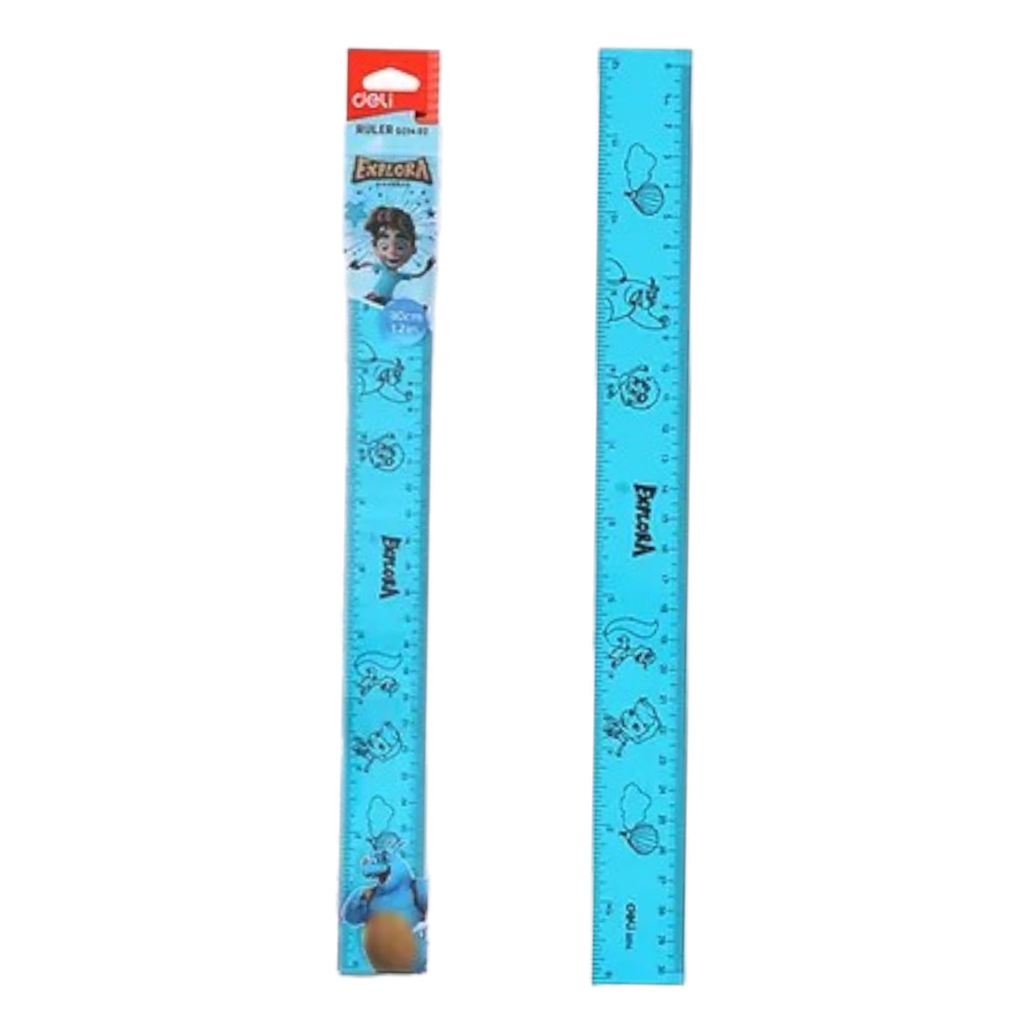 Deli Drafting Ruler 30cm/12Inch