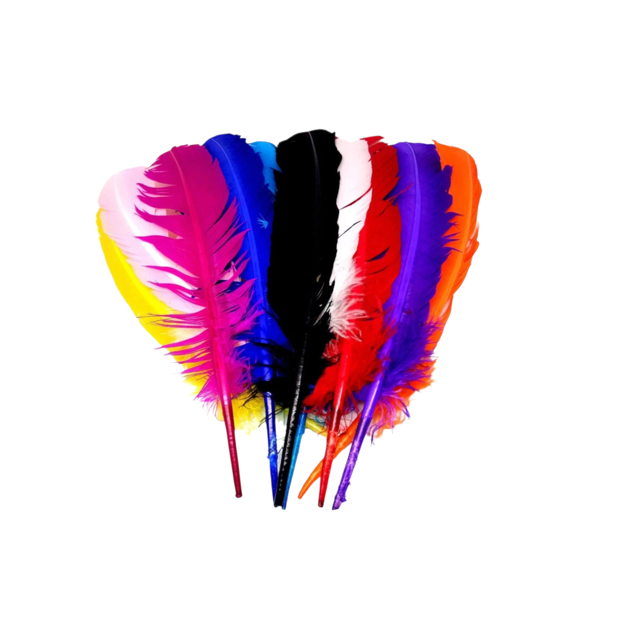 DIY Feathers 30cm 4pack Assorted