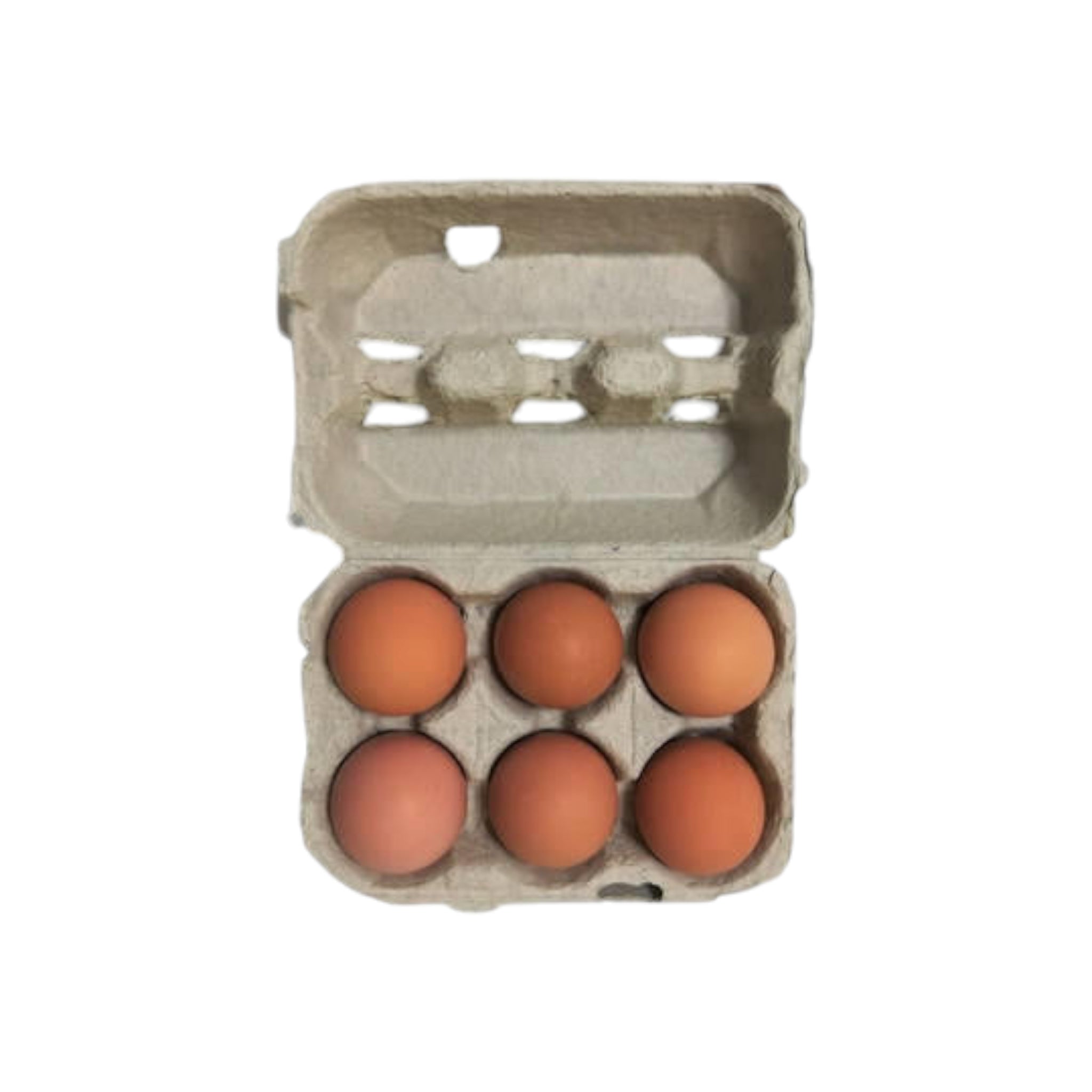 Egg Packaging Trays 1-Doz-2x6 Division - Pack of 85 Trays