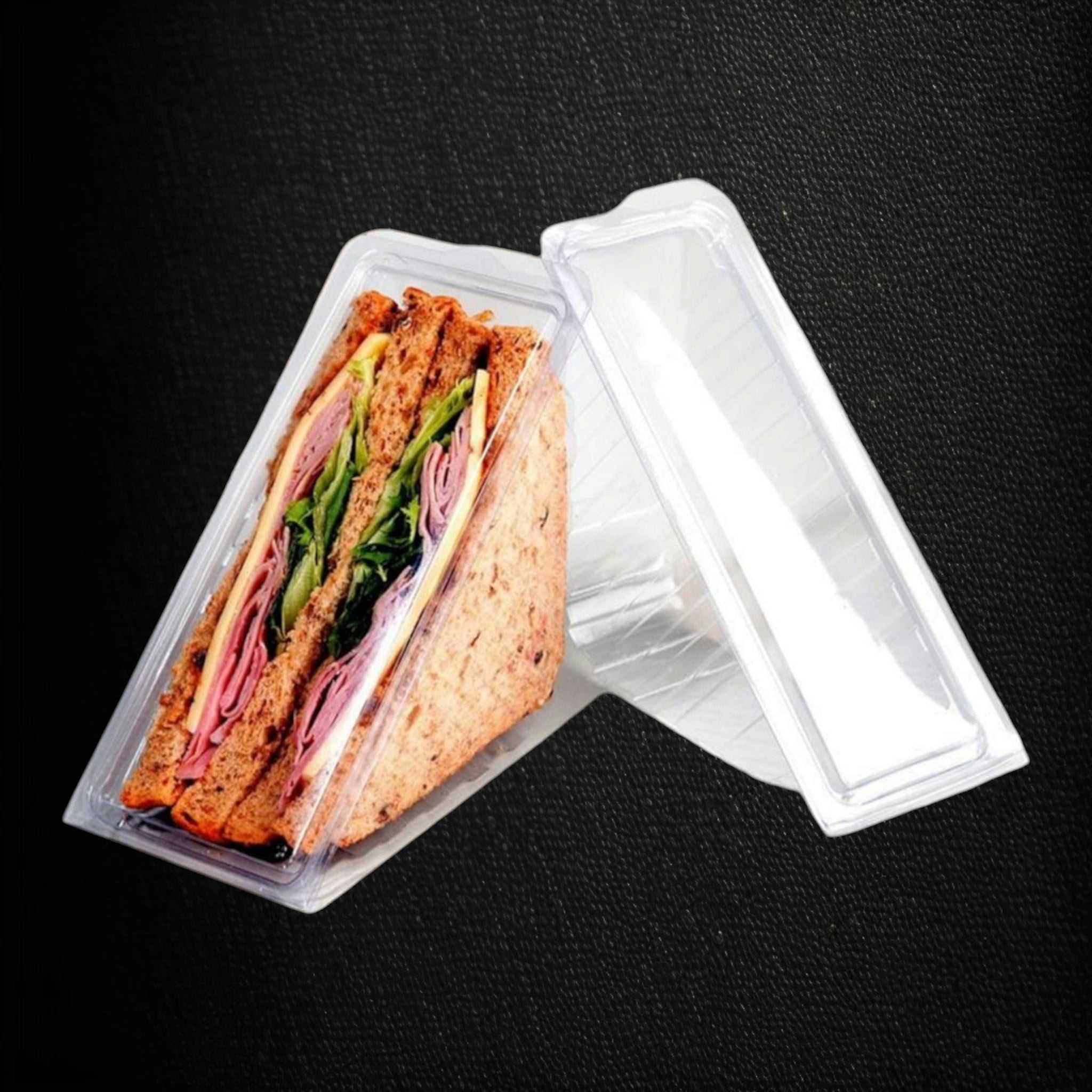 Zibo Sandwich Wedge Large Plastic Thermos Container T215