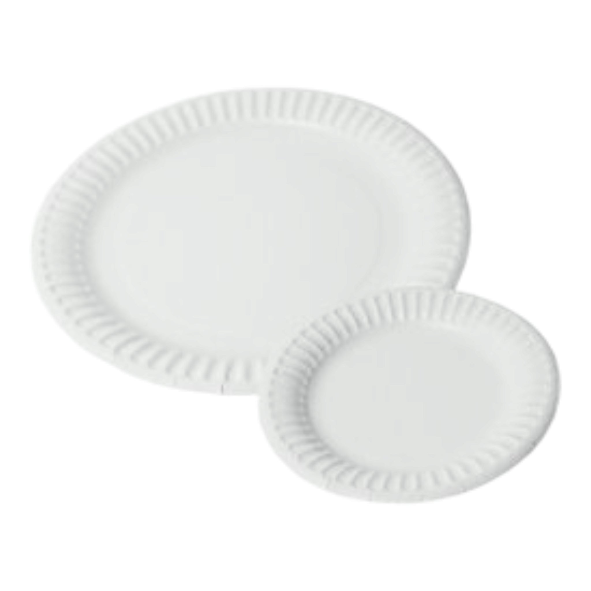 Disposable Paper Plates 230mm White 100pack