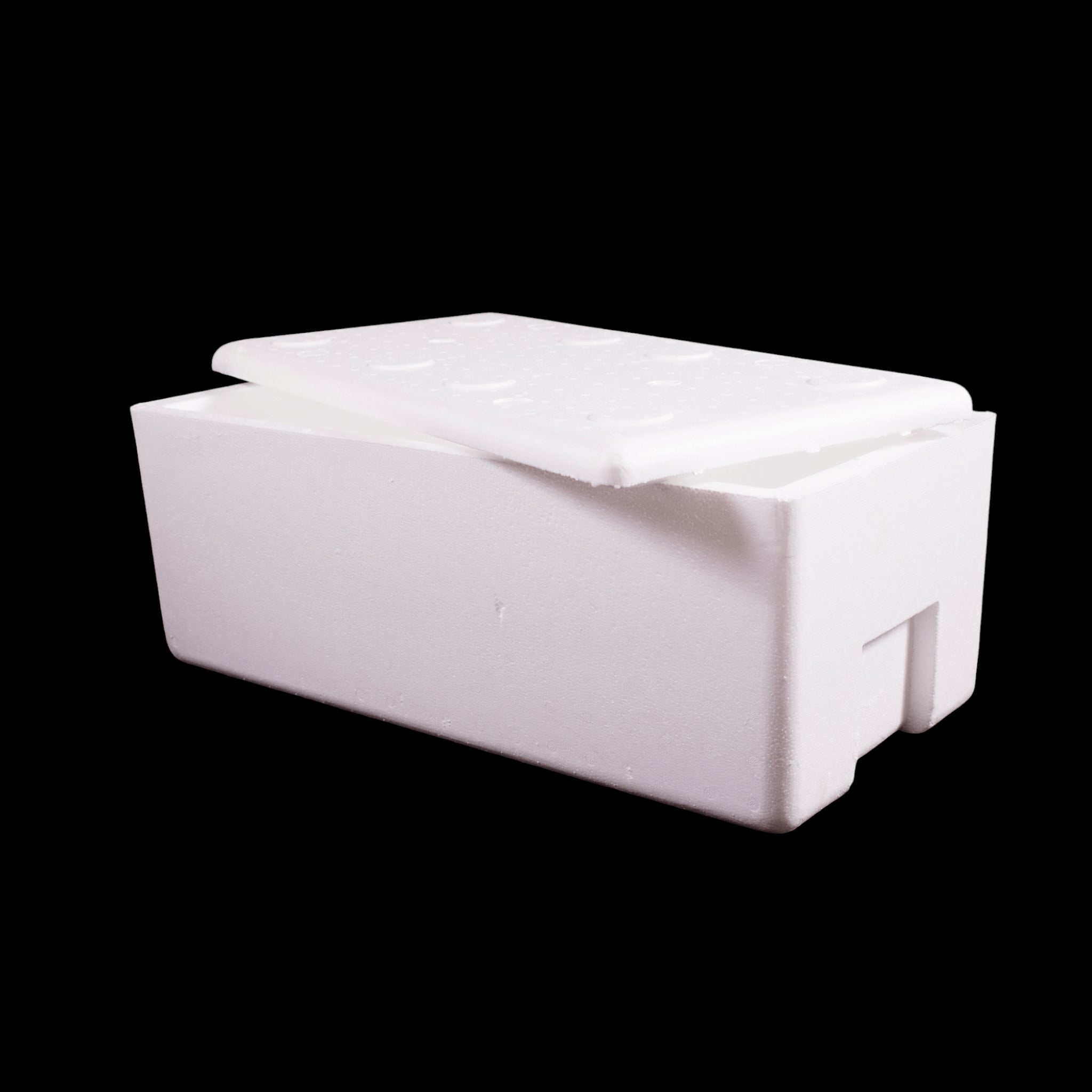 Polystyrene Cooler Box 30kg Thermal Storage Box