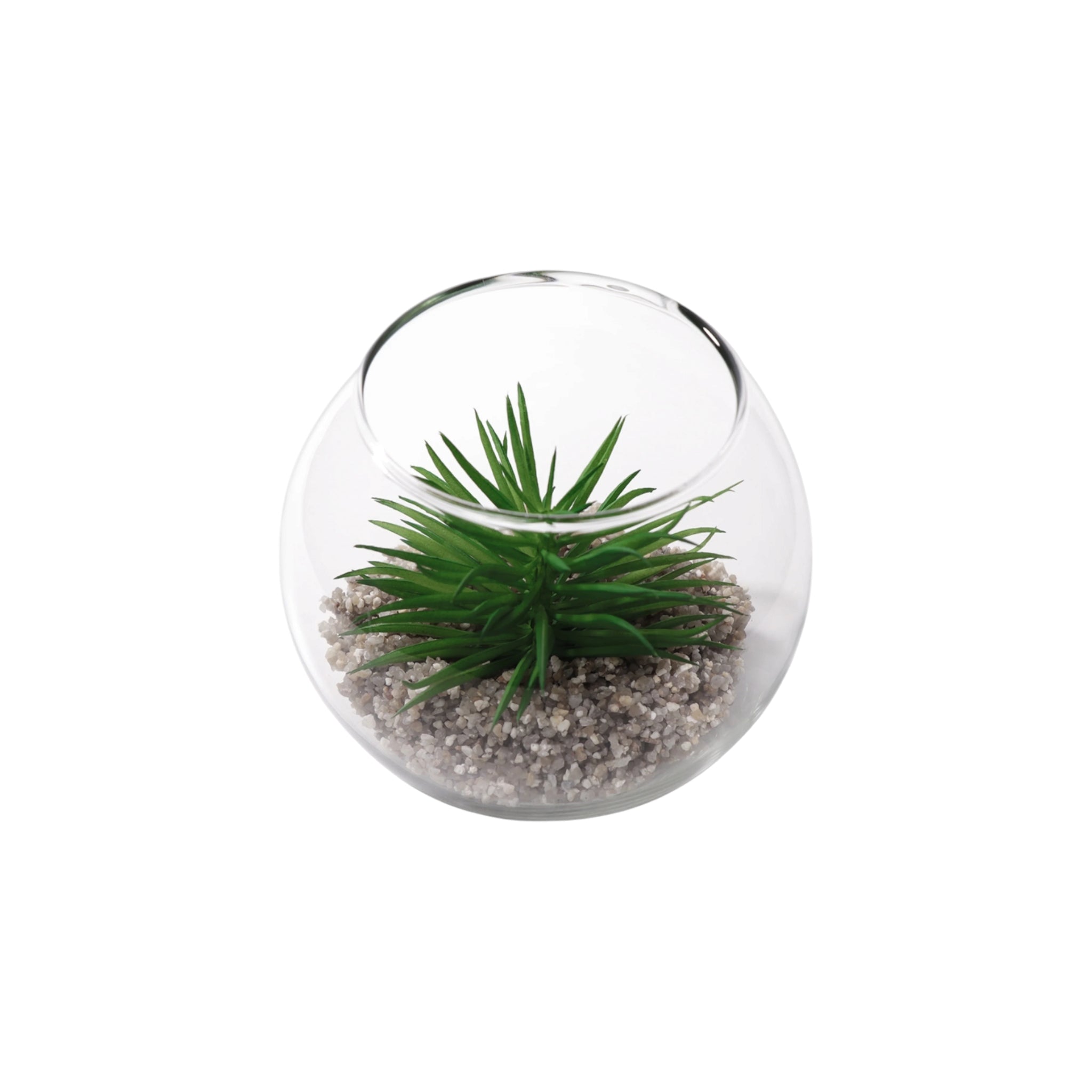 Regent Artificial Succulent In Clear Glass Pot Large 120x100mm